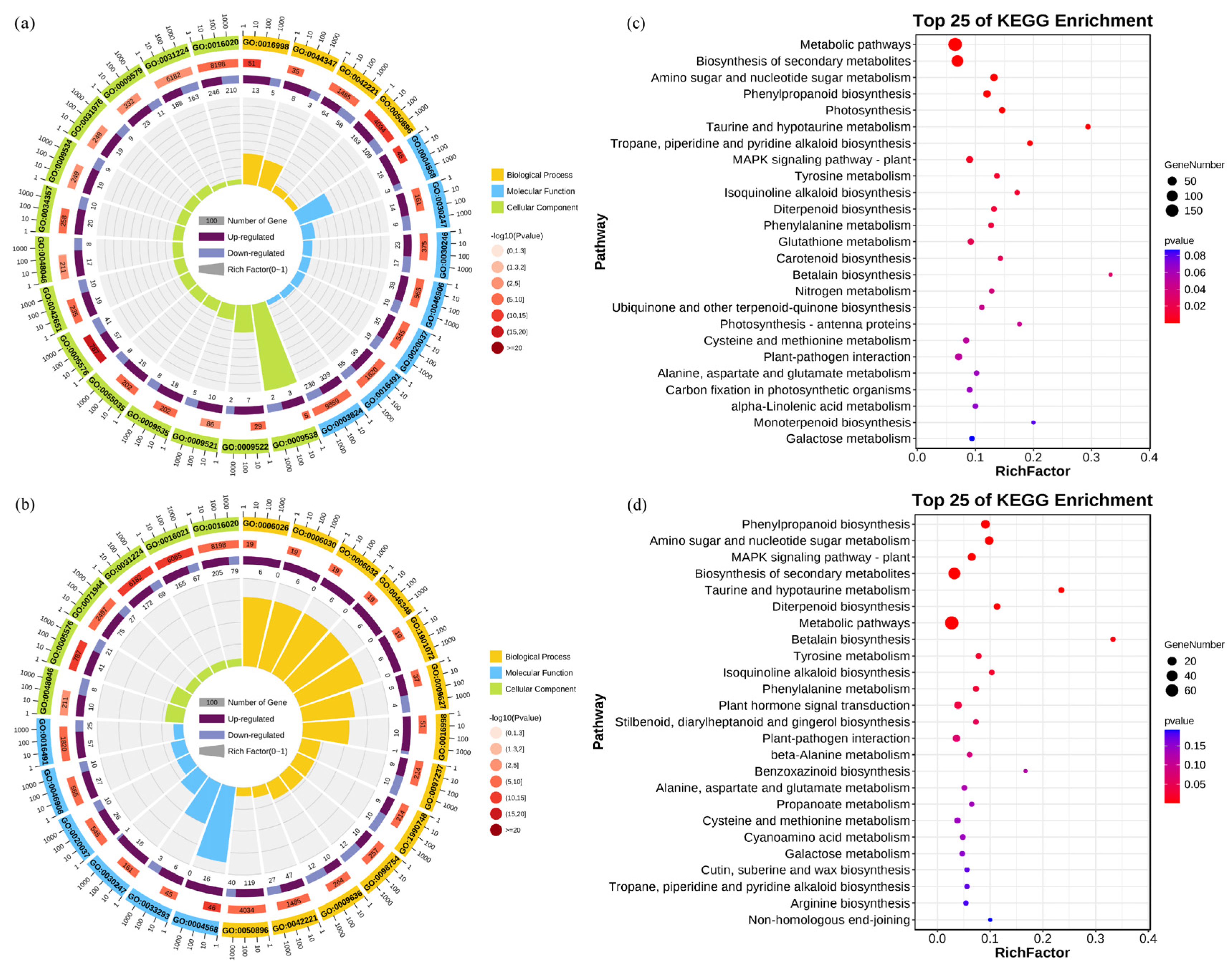 Antioxidants 14 00658 g004