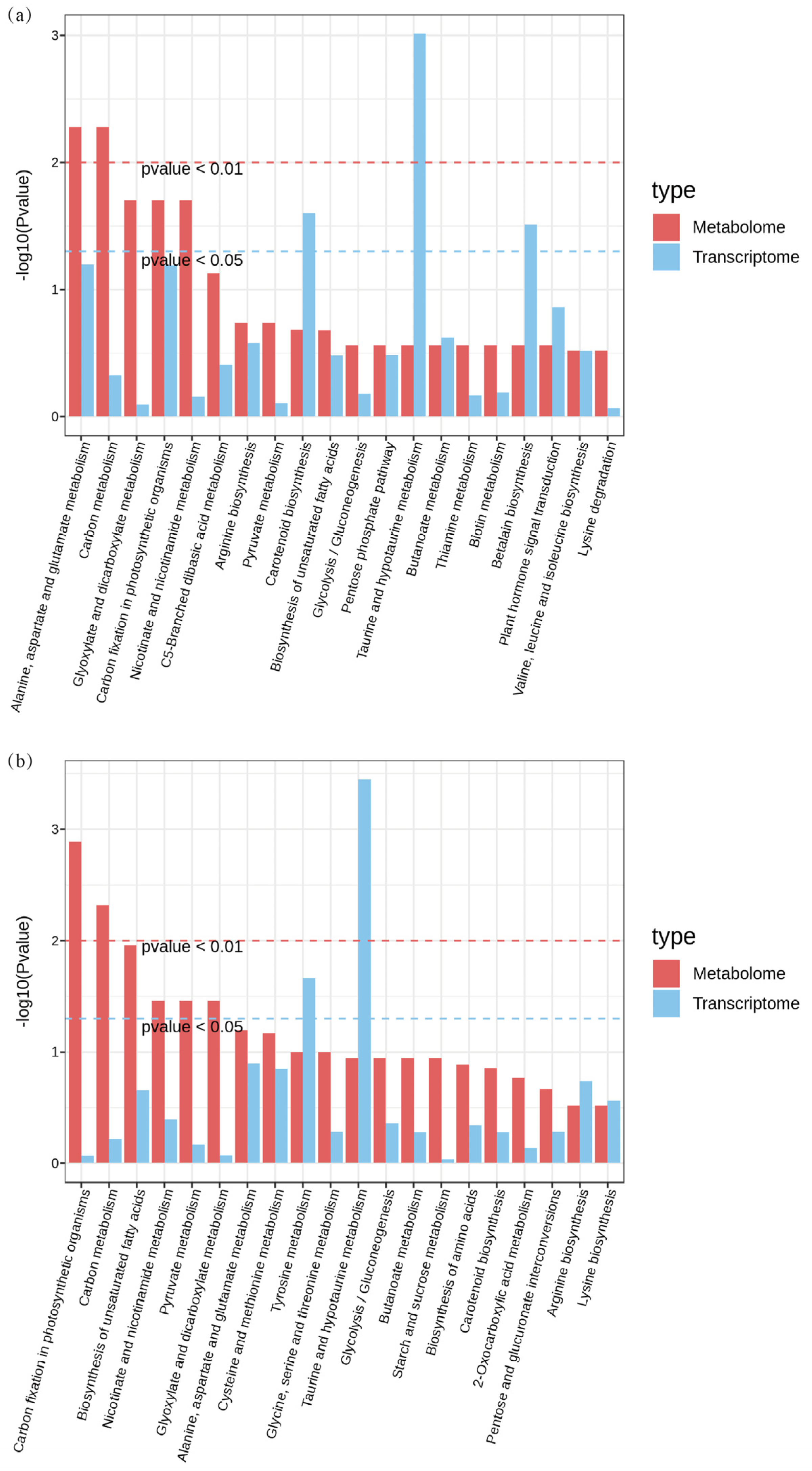 Antioxidants 14 00658 g007