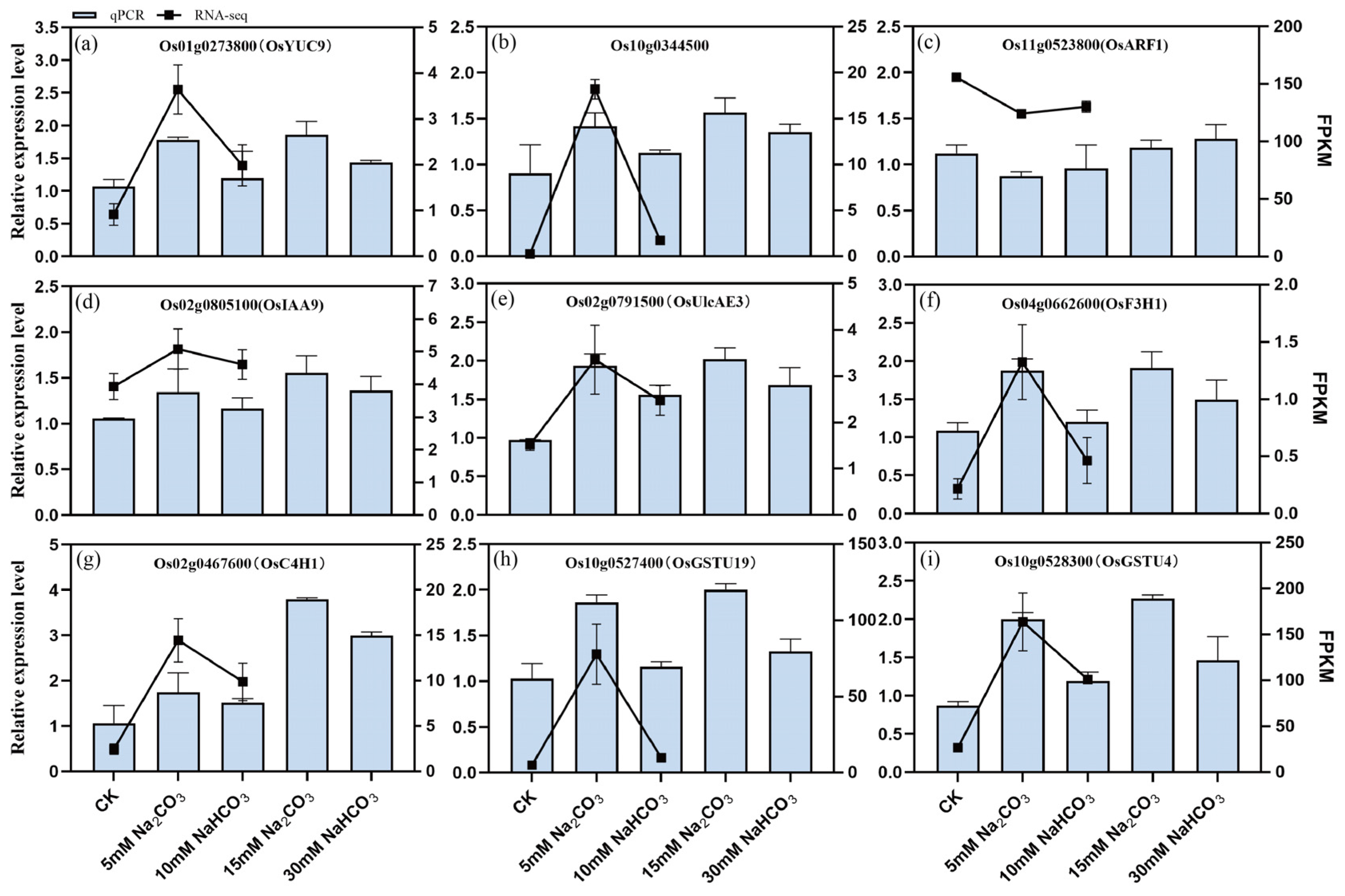 Antioxidants 14 00658 g010