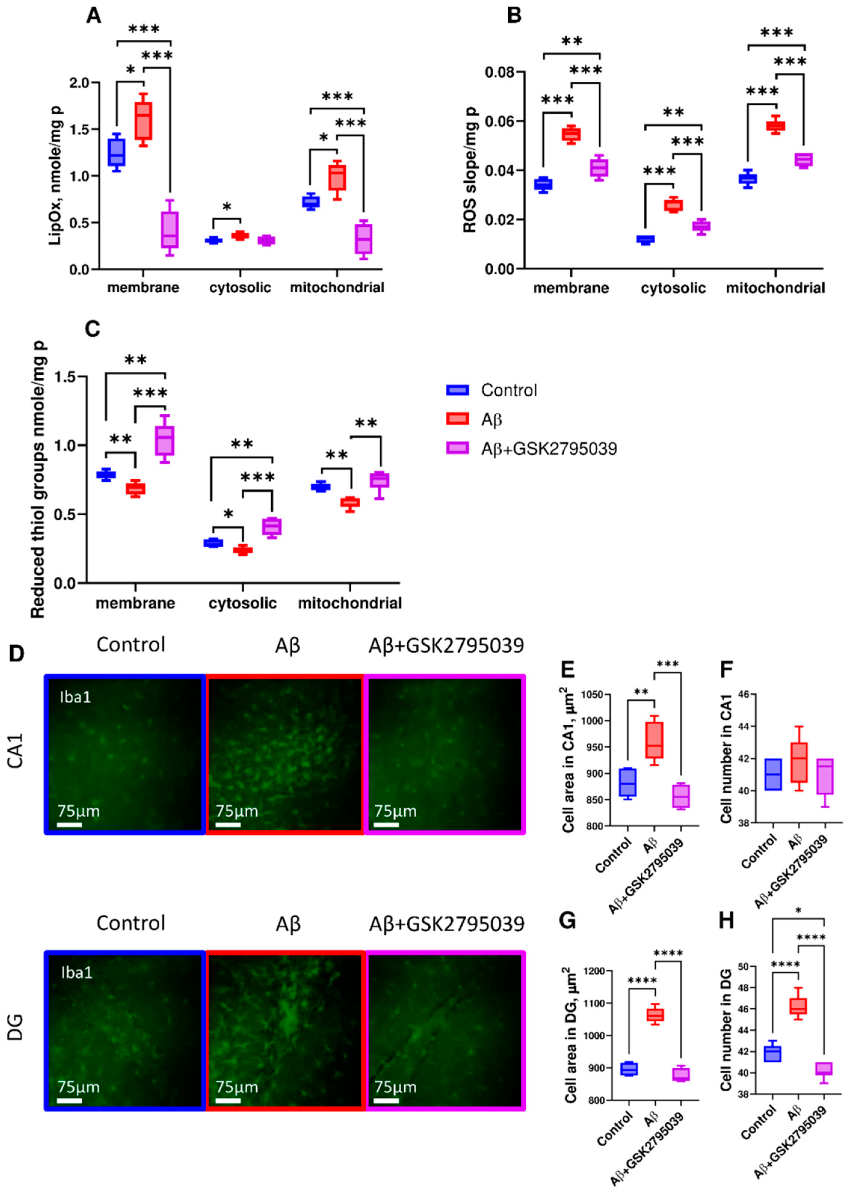 Antioxidants 14 00663 g003