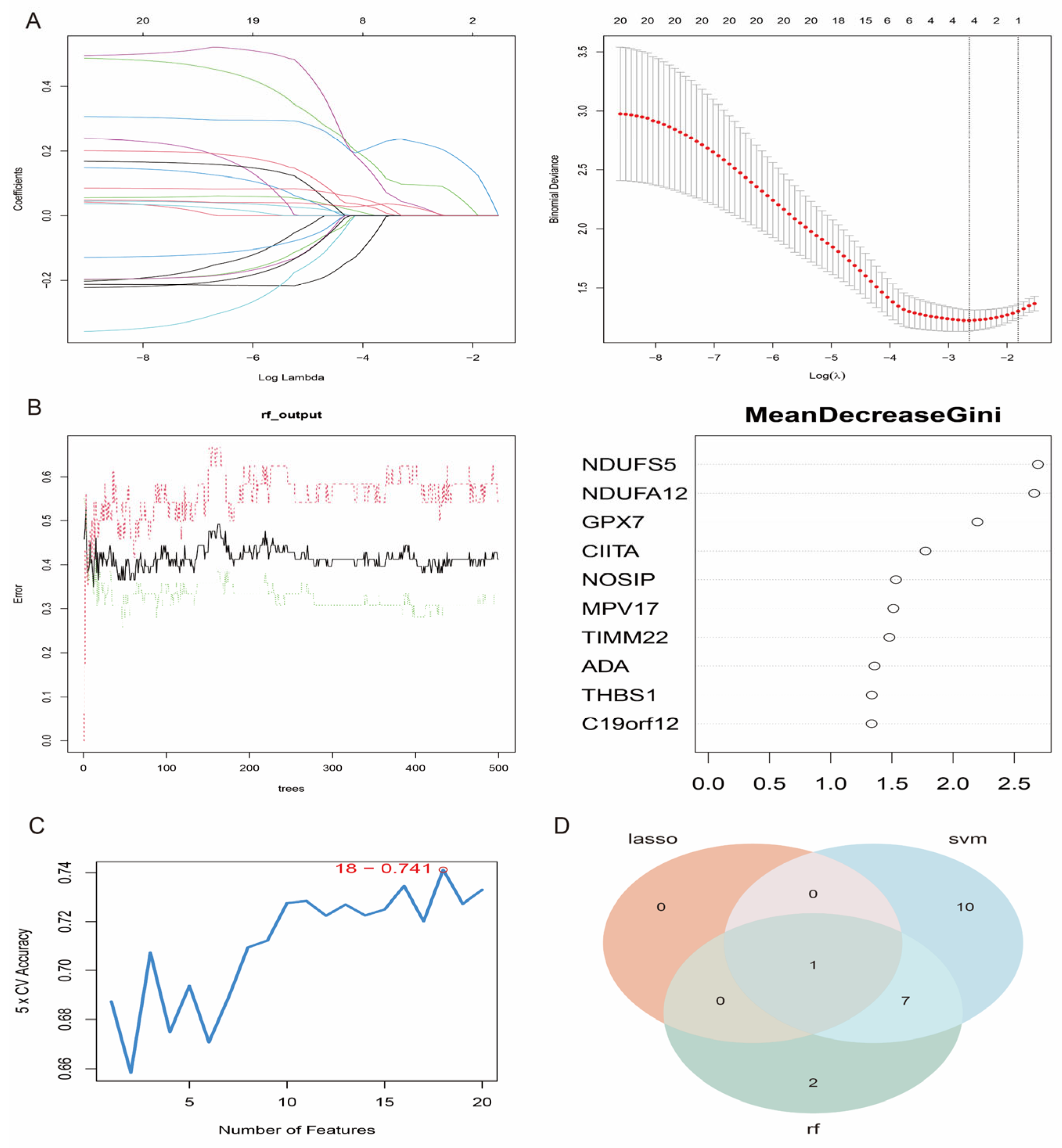 Antioxidants 14 00665 g007