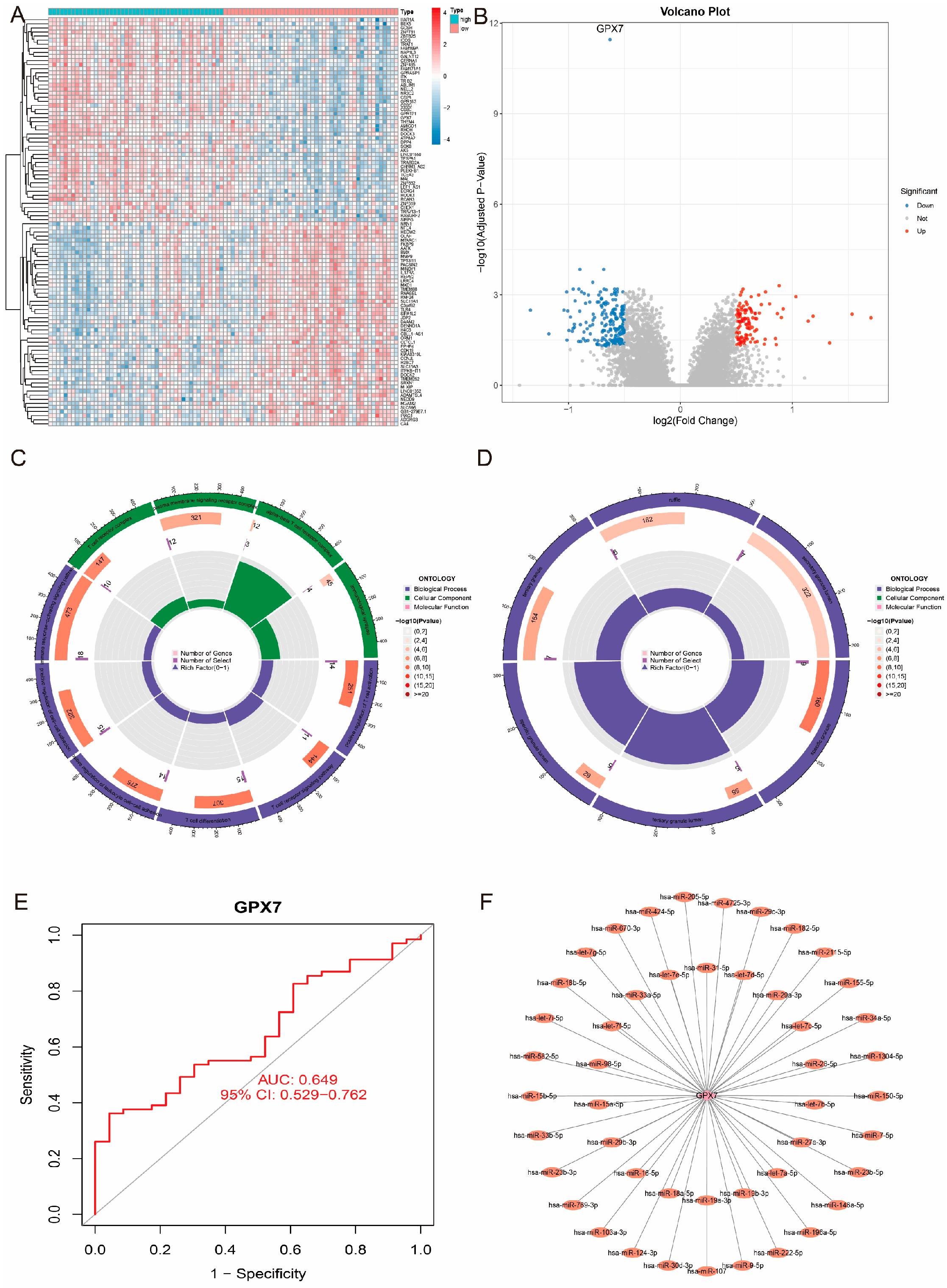 Antioxidants 14 00665 g008
