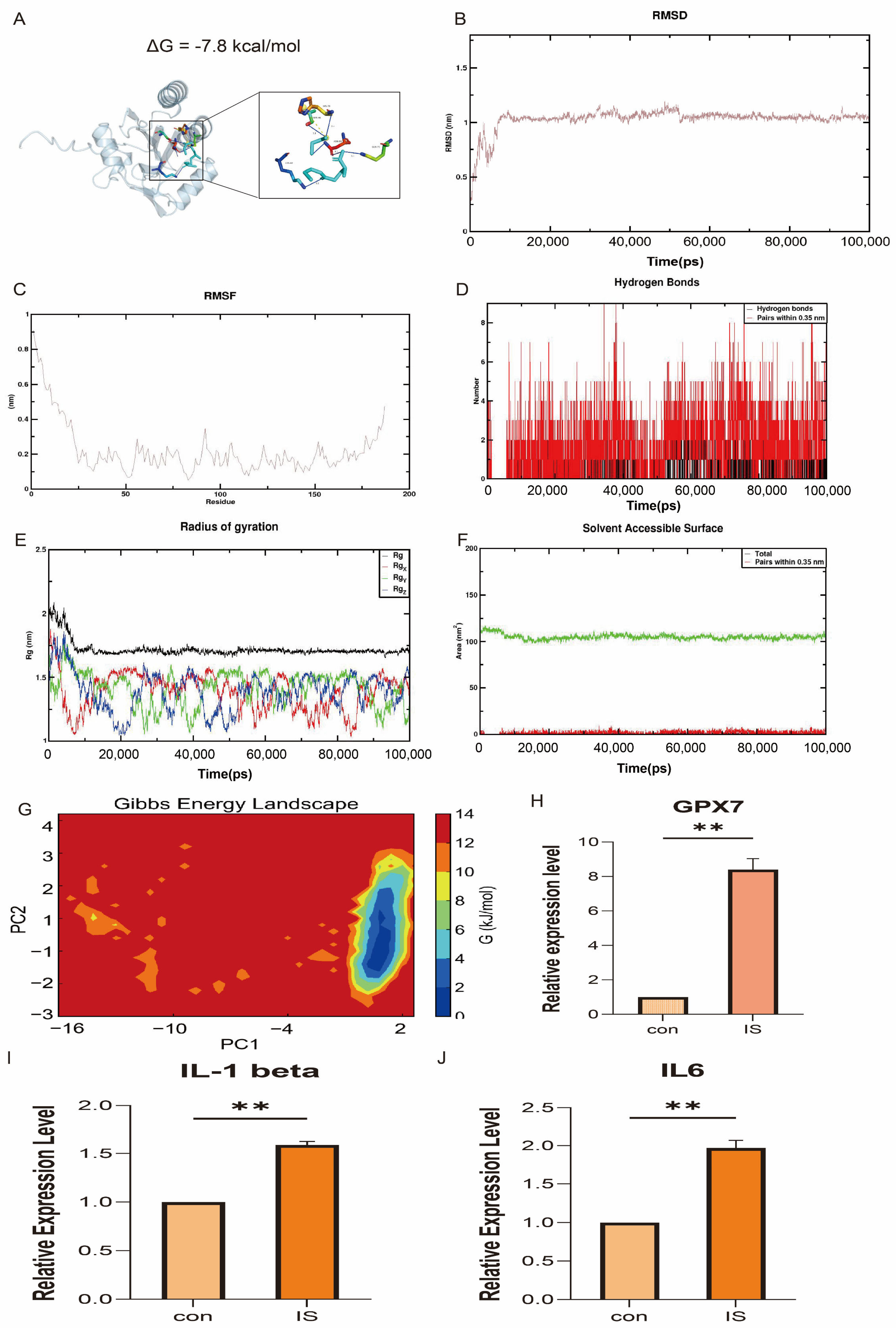 Antioxidants 14 00665 g012
