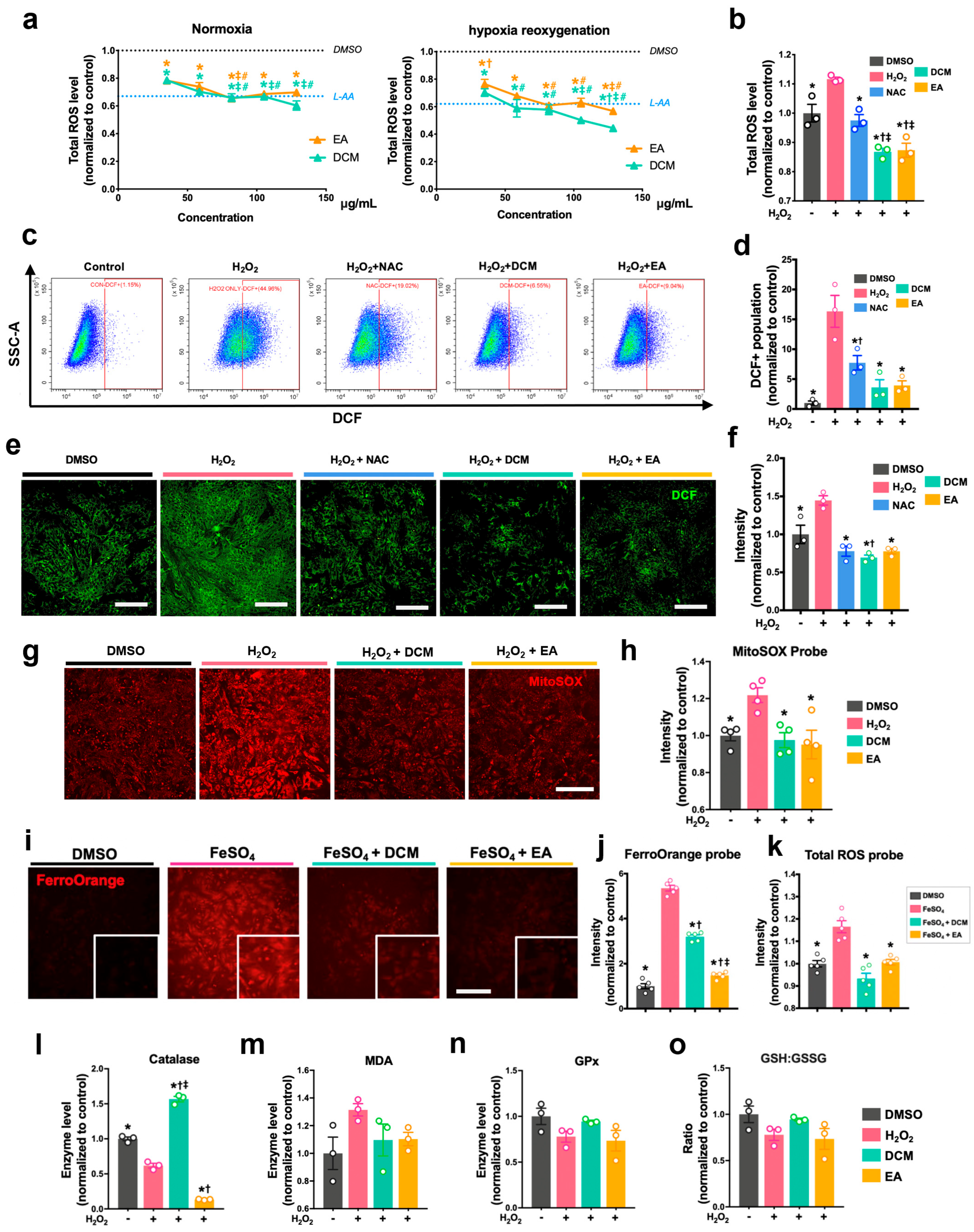 Antioxidants 14 00671 g002
