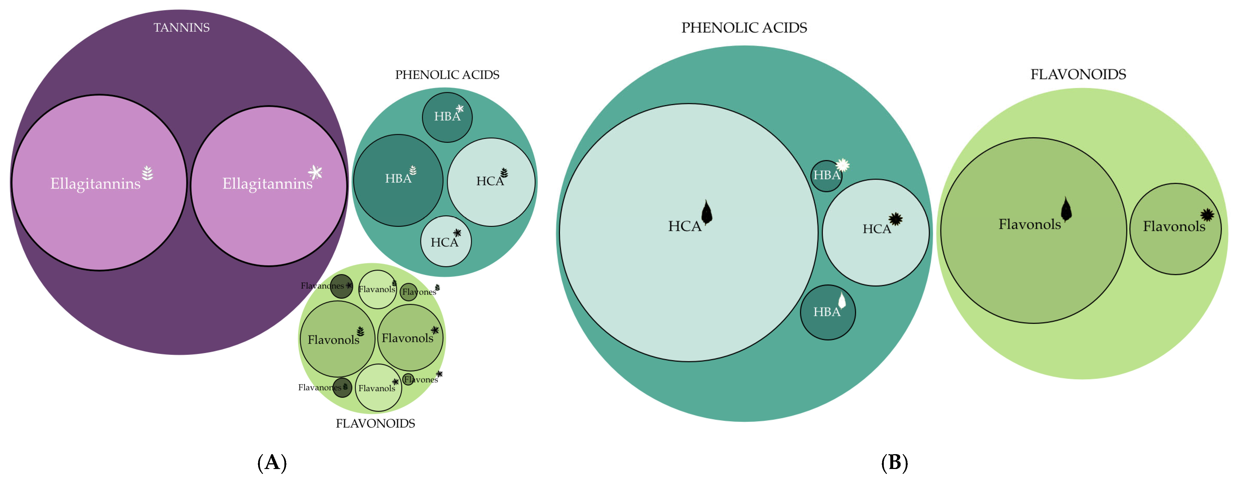 Antioxidants 14 00677 g003