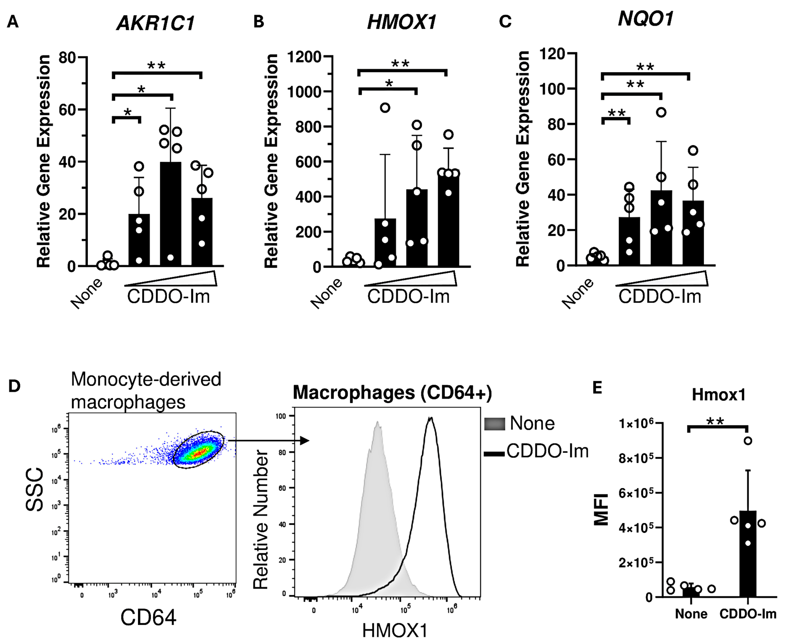 Antioxidants 14 00678 g005