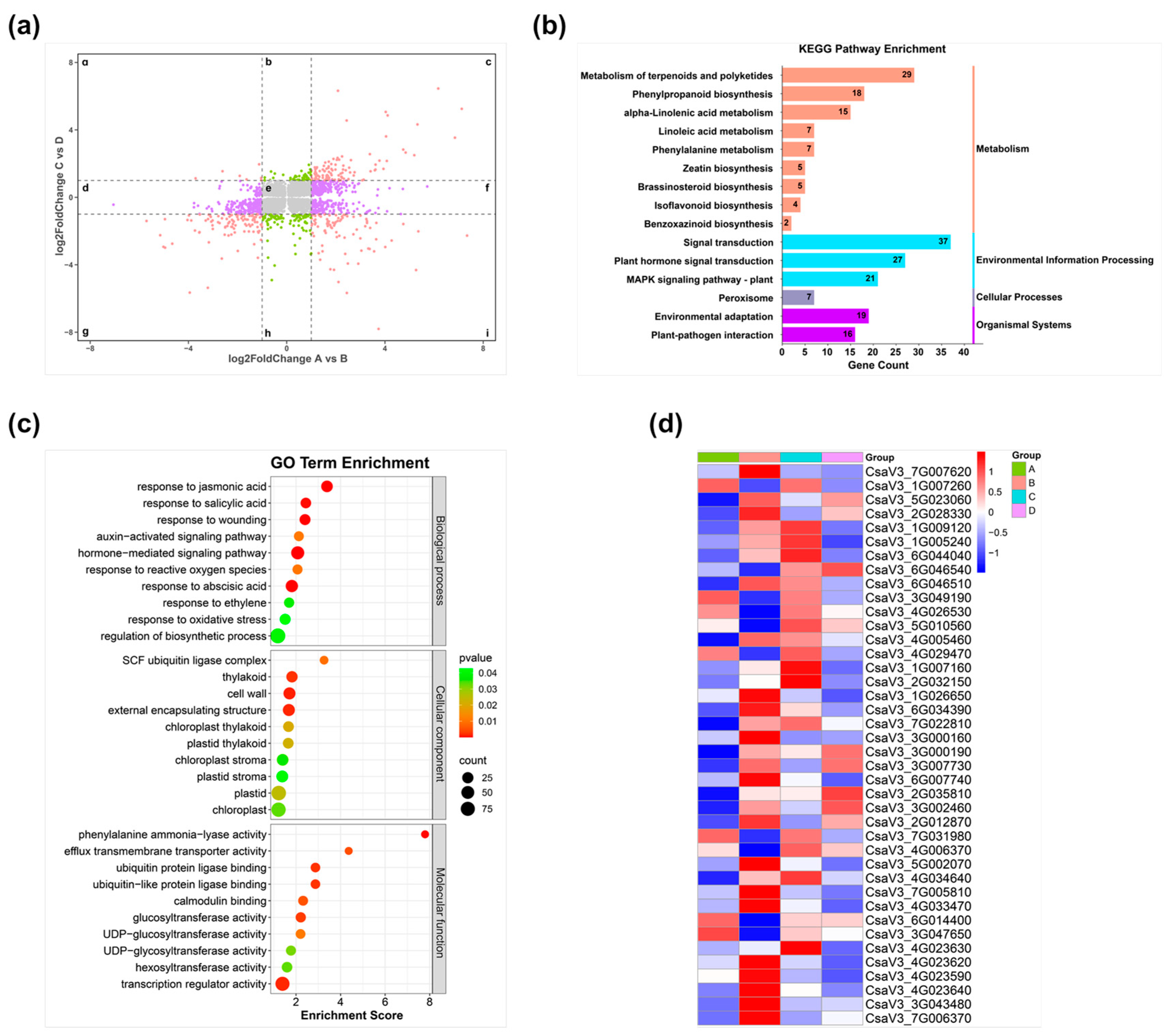 Antioxidants 14 00679 g008