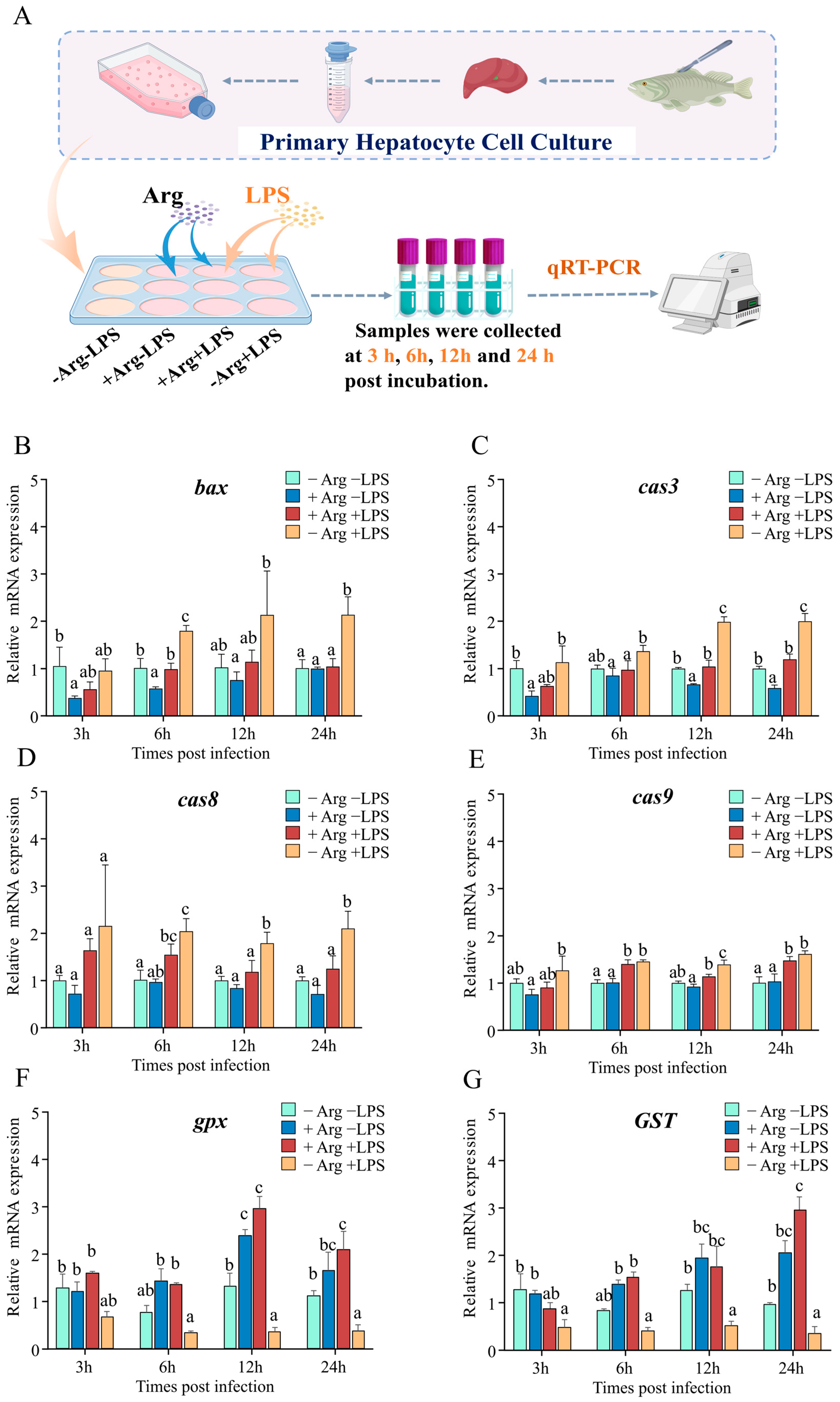 Antioxidants 14 00681 g008