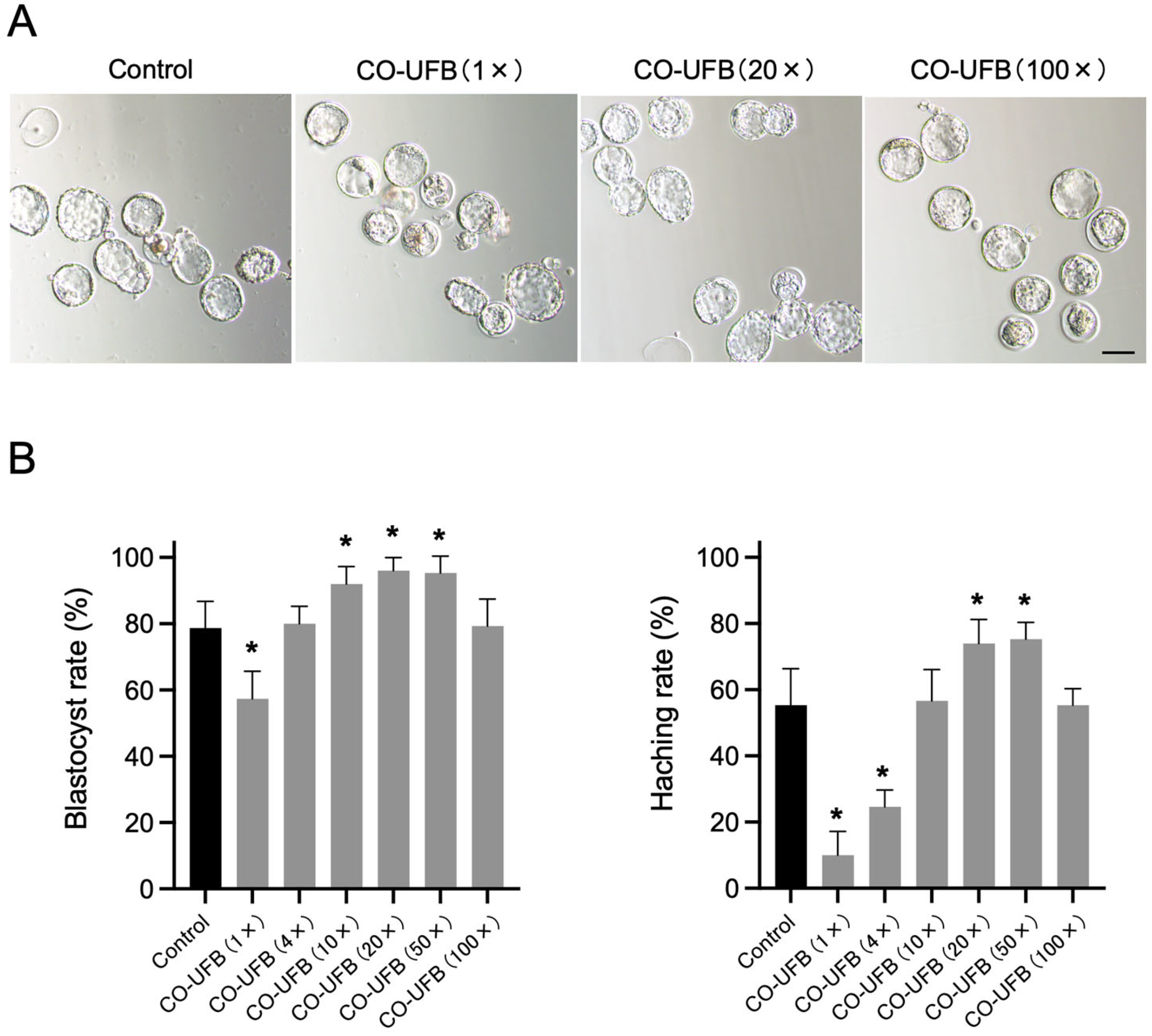 Antioxidants 14 00684 g002