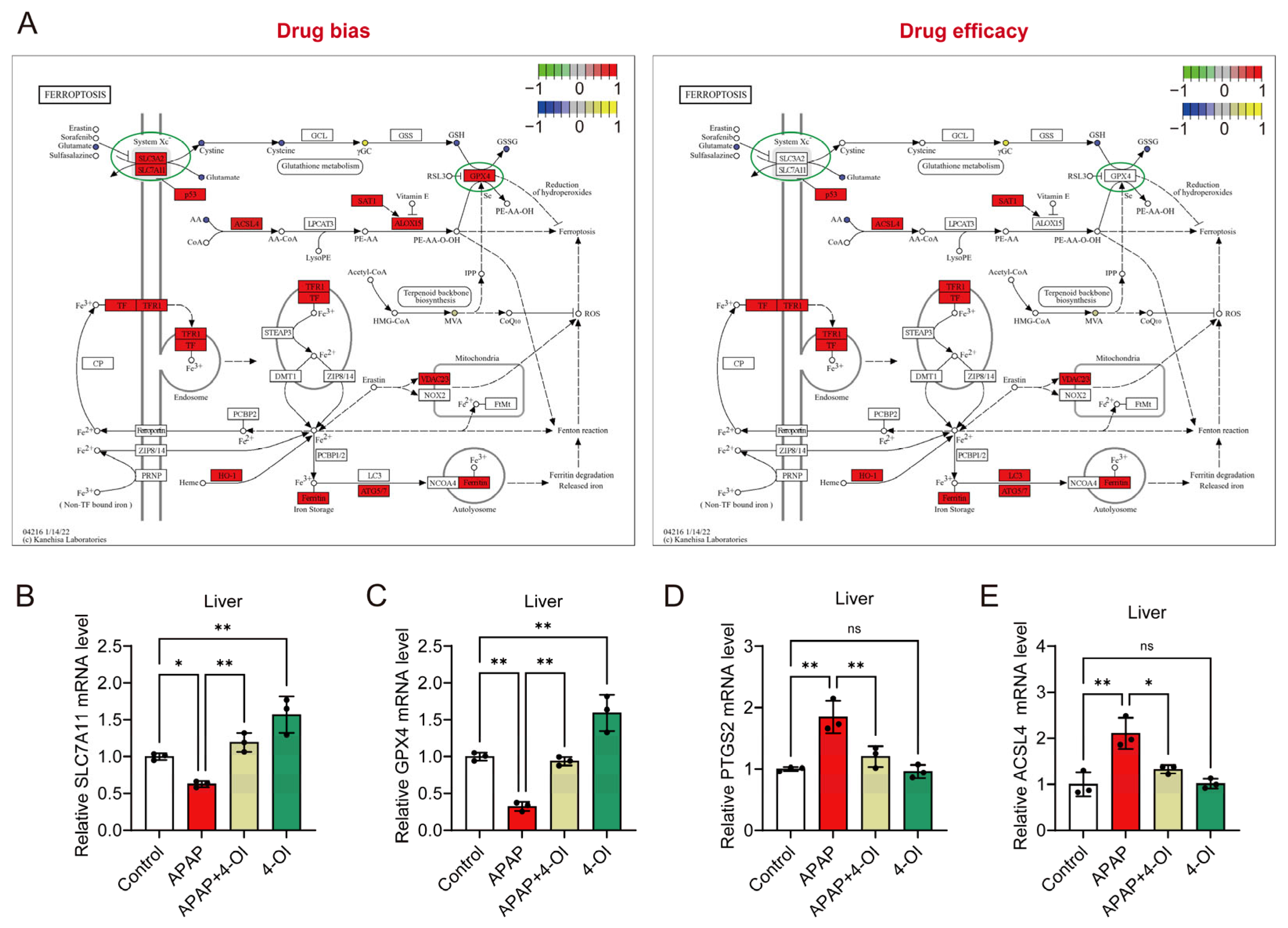 Antioxidants 14 00698 g004
