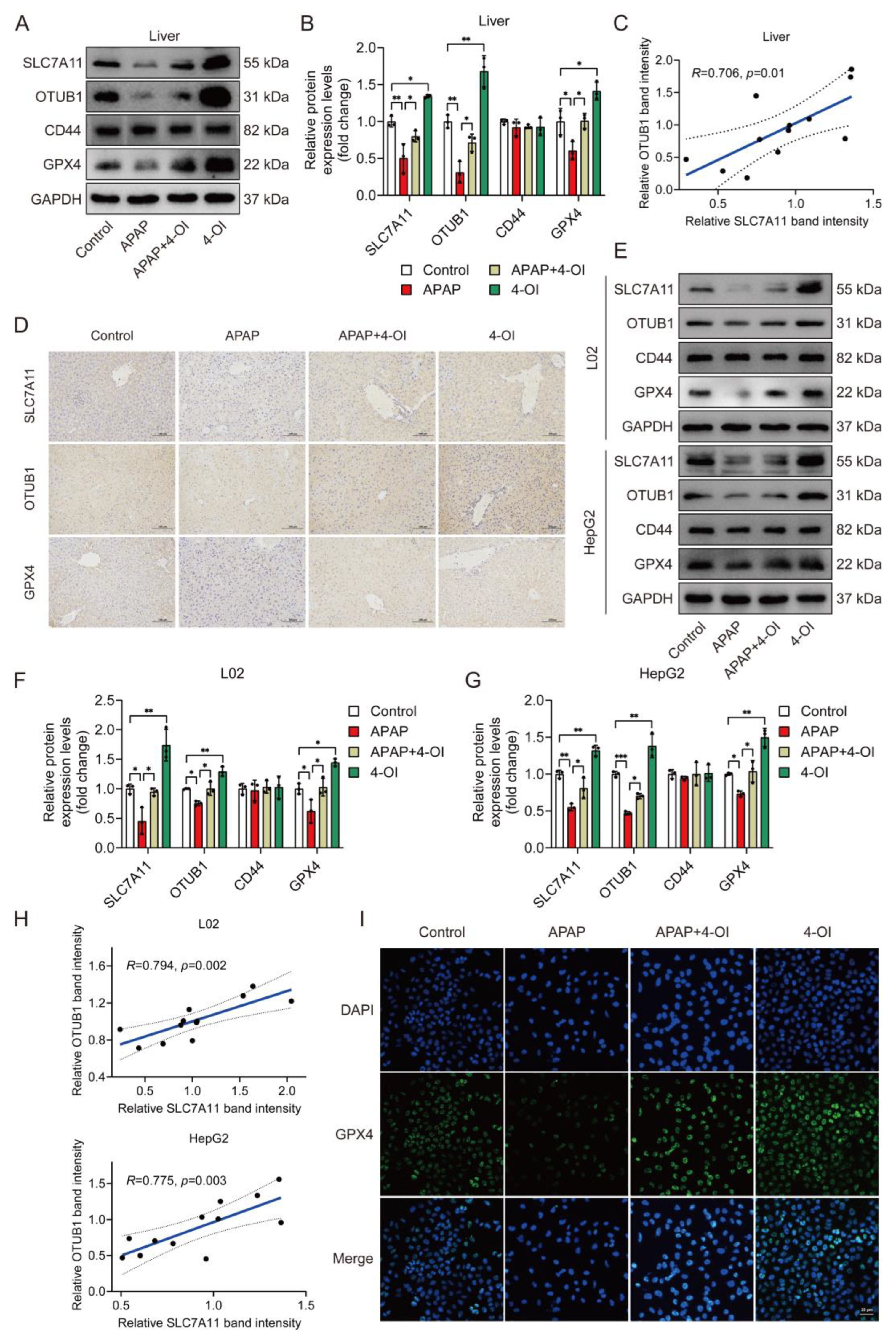 Antioxidants 14 00698 g005