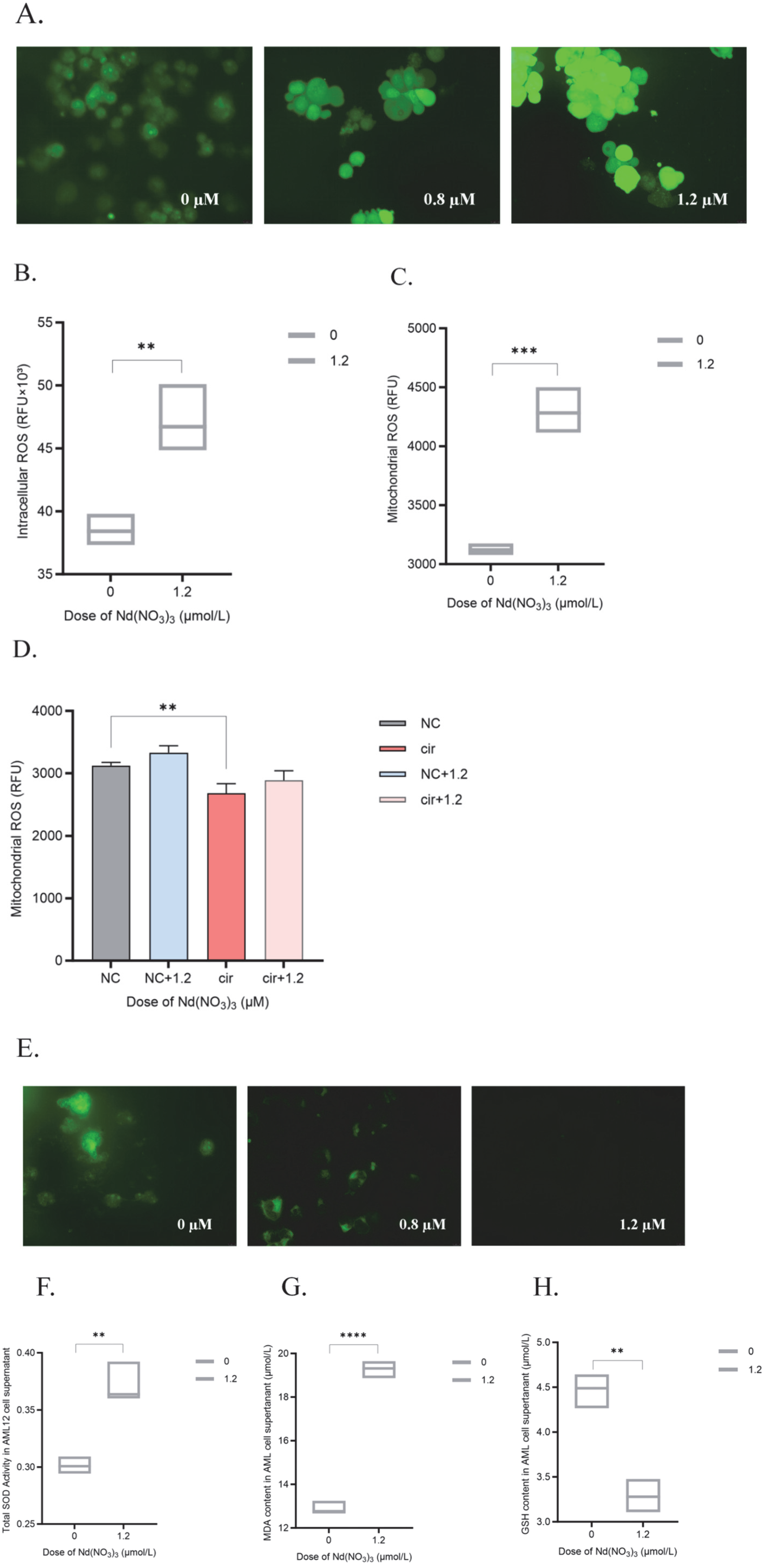 Antioxidants 14 00700 g002