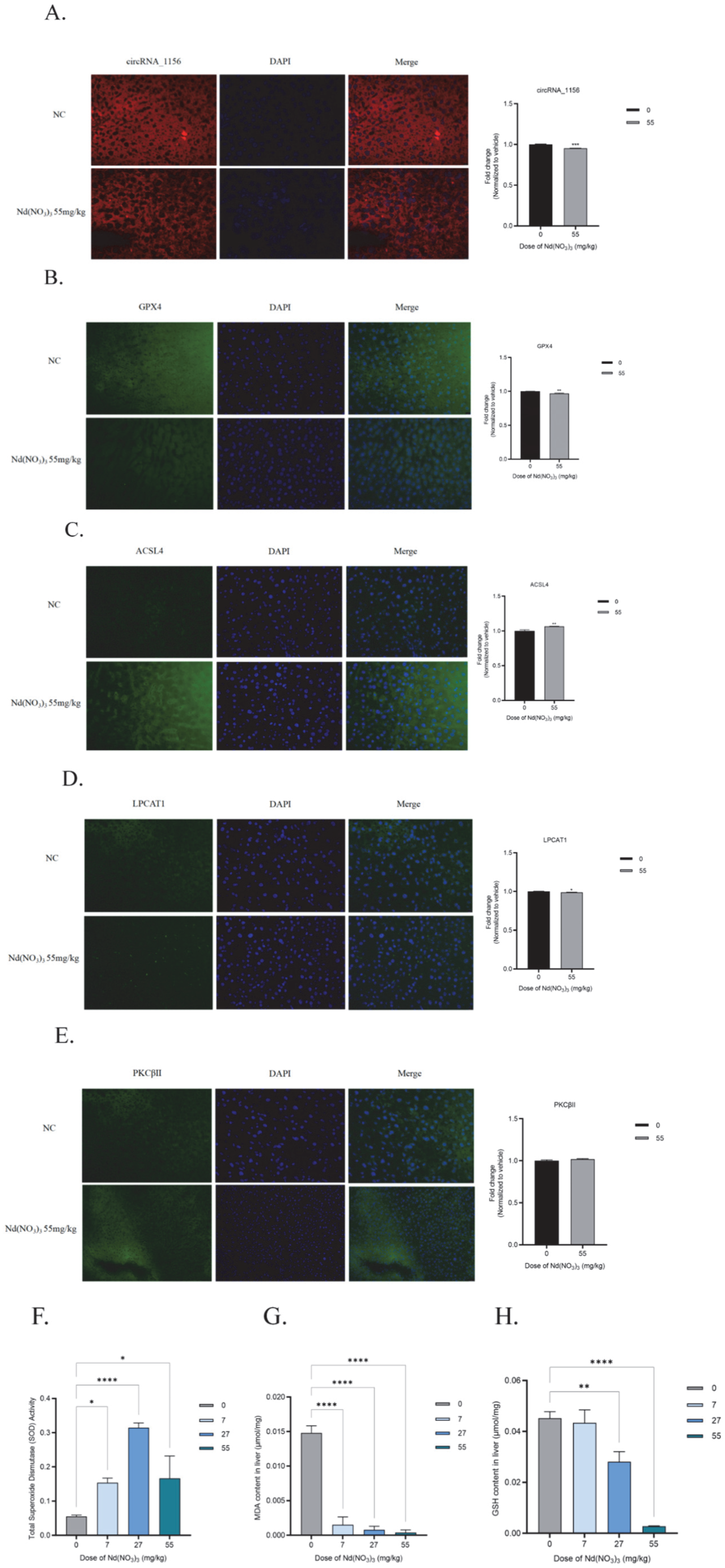Antioxidants 14 00700 g006