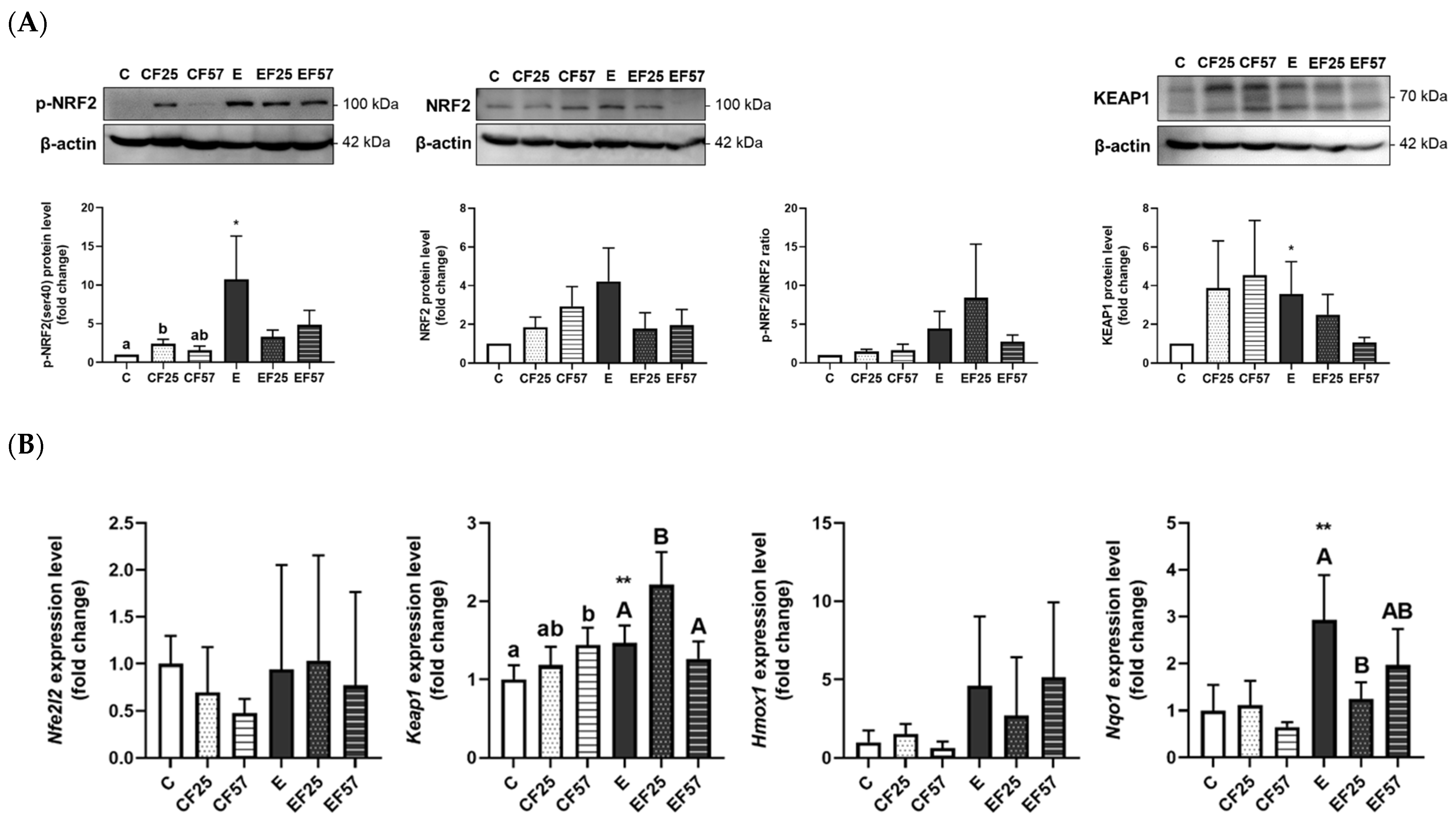 Antioxidants 14 00704 g002 Antioxidants 14 00704 g002
