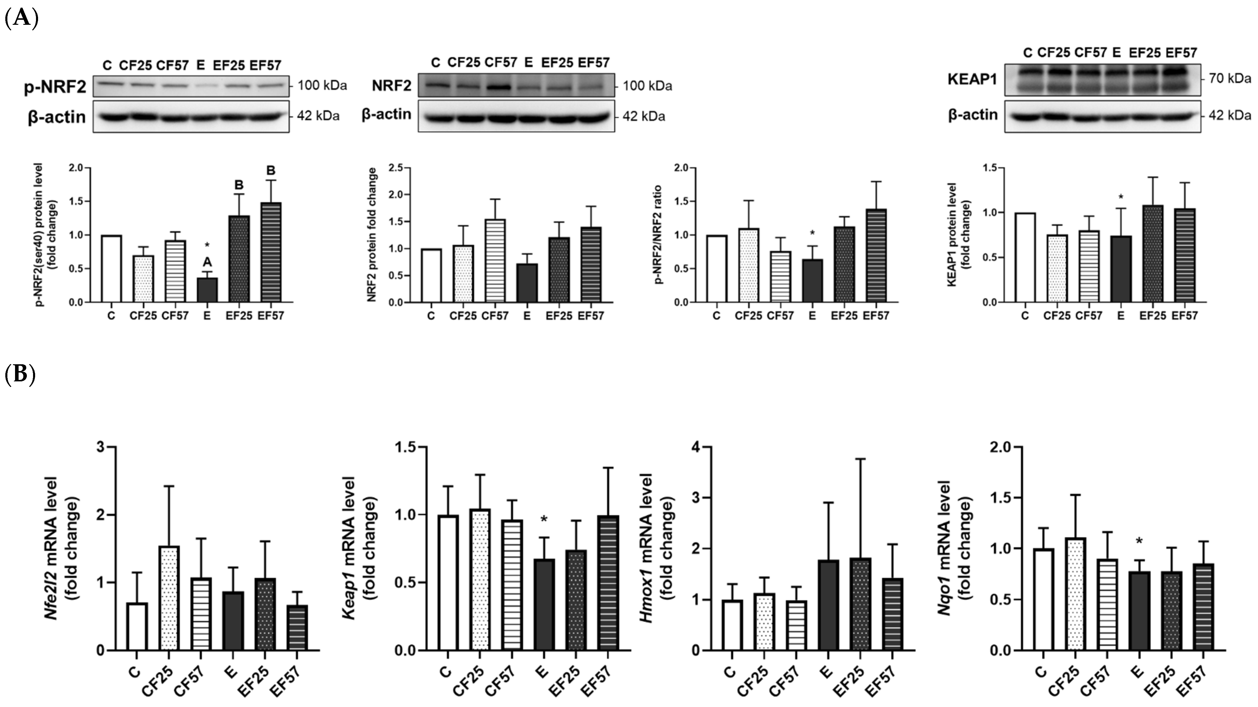 Antioxidants 14 00704 g006 Antioxidants 14 00704 g006