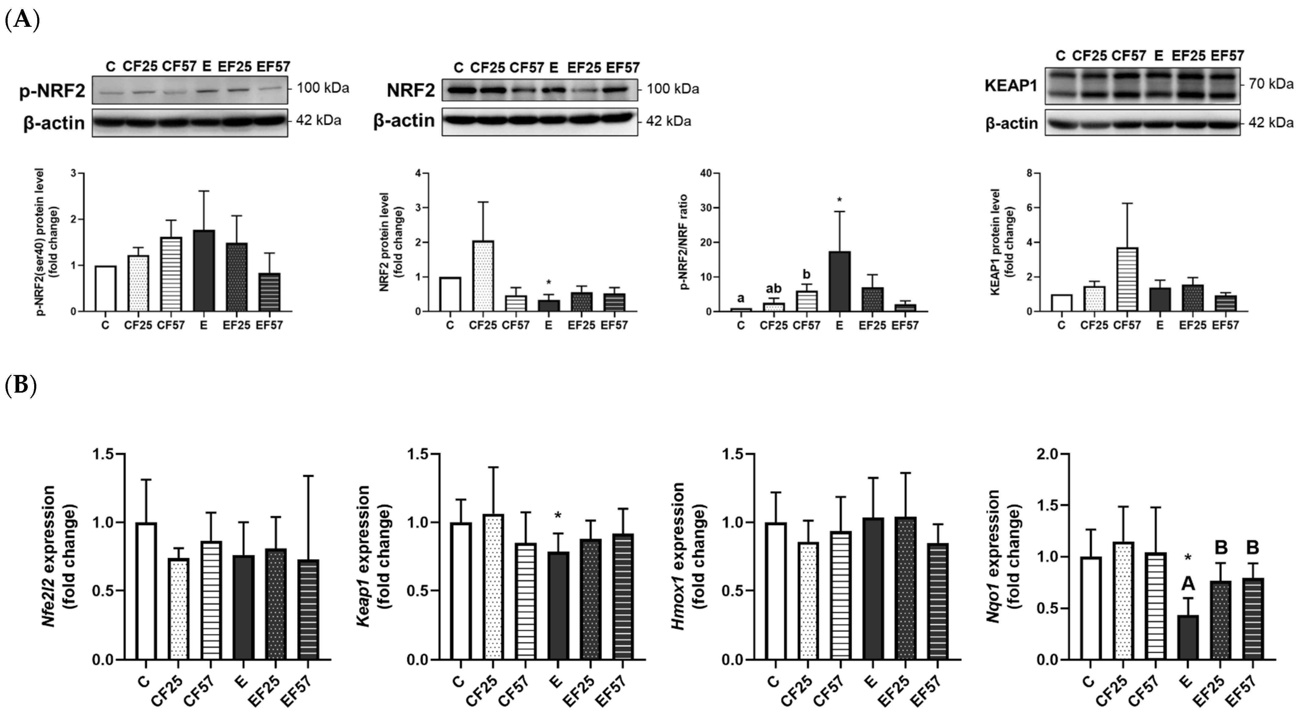 Antioxidants 14 00704 g007 Antioxidants 14 00704 g007