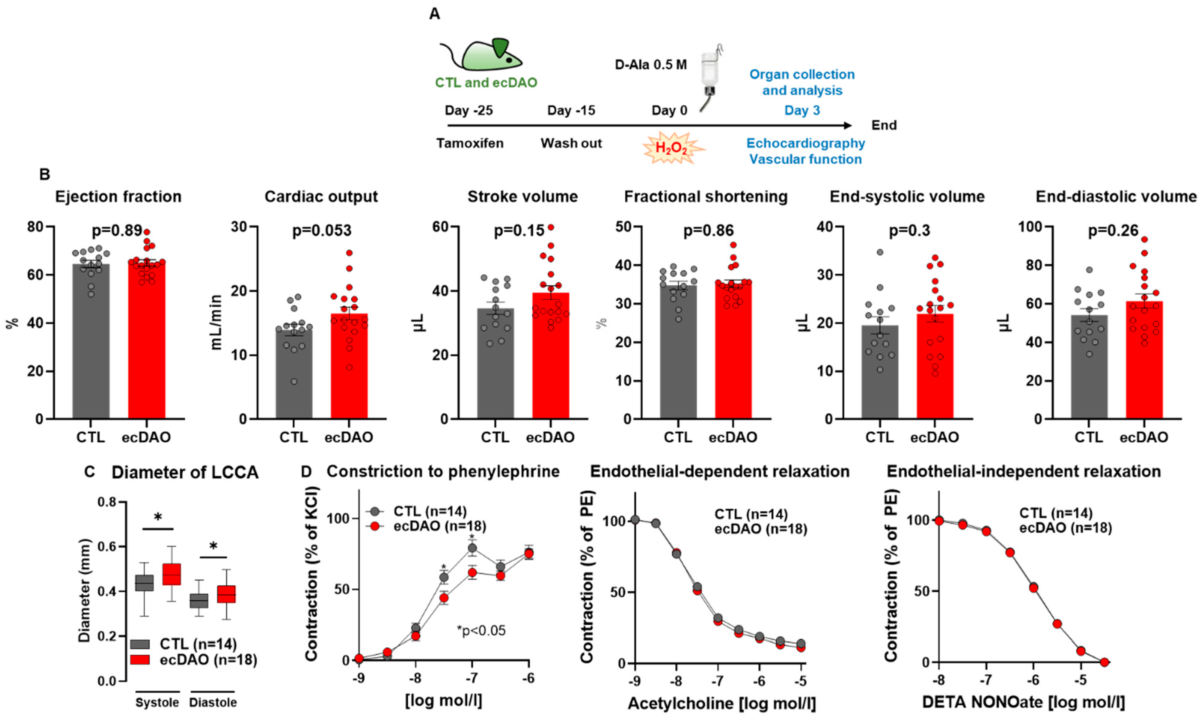 Antioxidants 14 00705 g002 Antioxidants 14 00705 g002