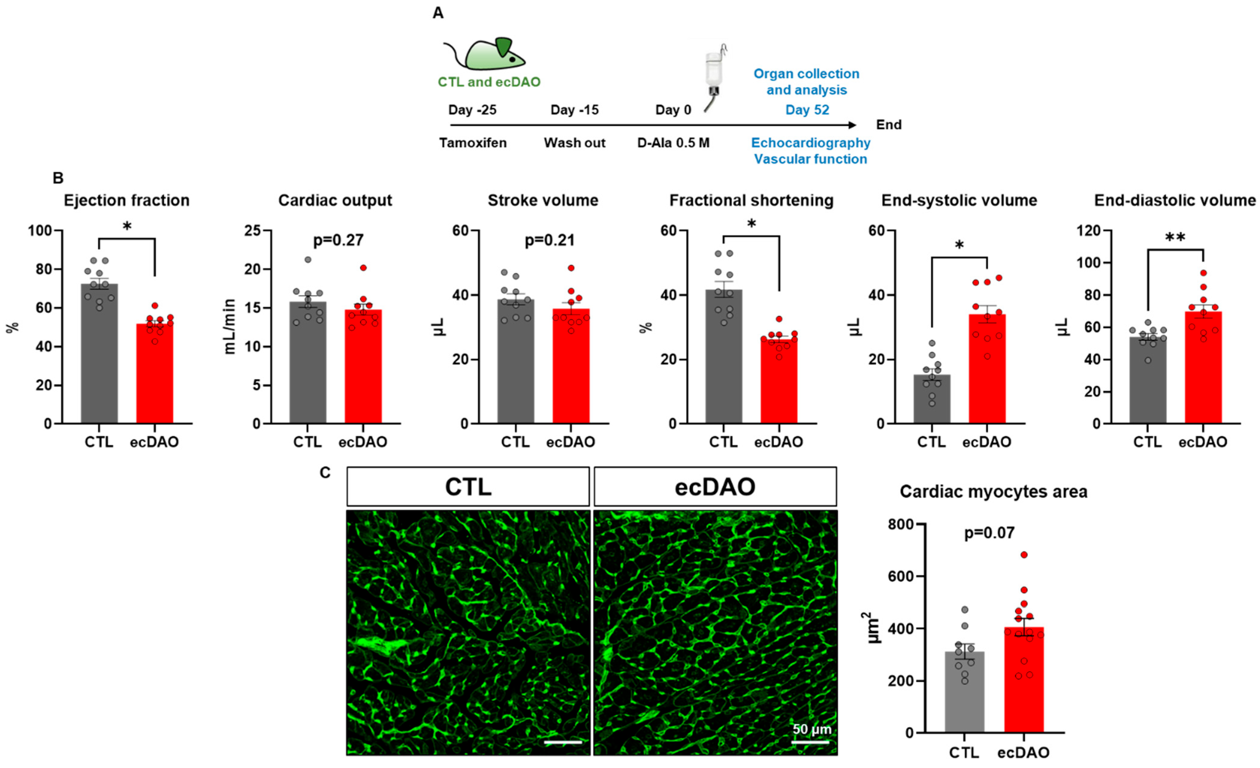 Antioxidants 14 00705 g003 Antioxidants 14 00705 g003