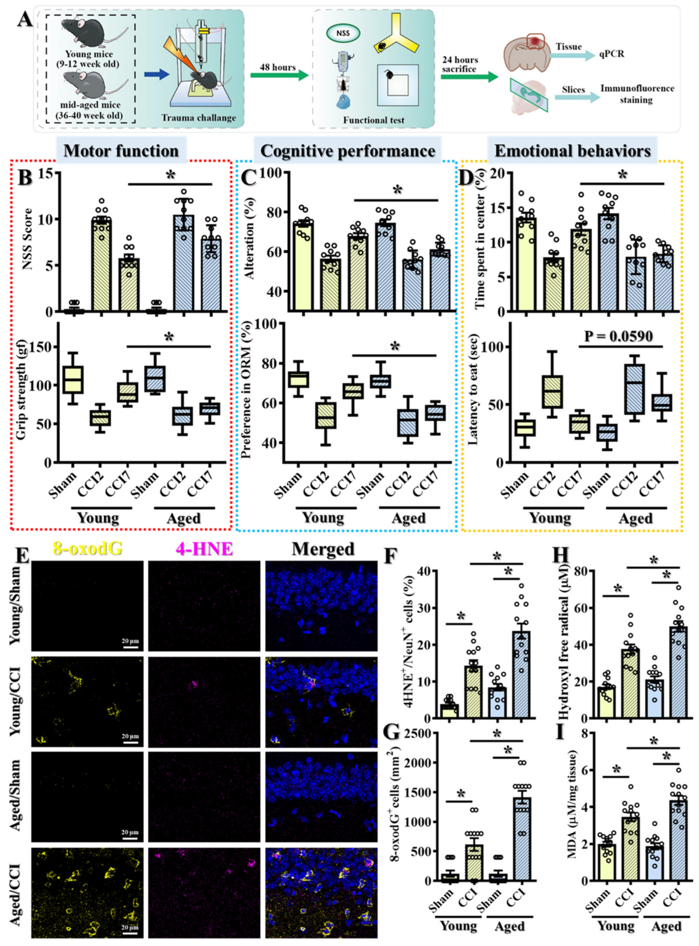 Antioxidants 14 00709 g001
