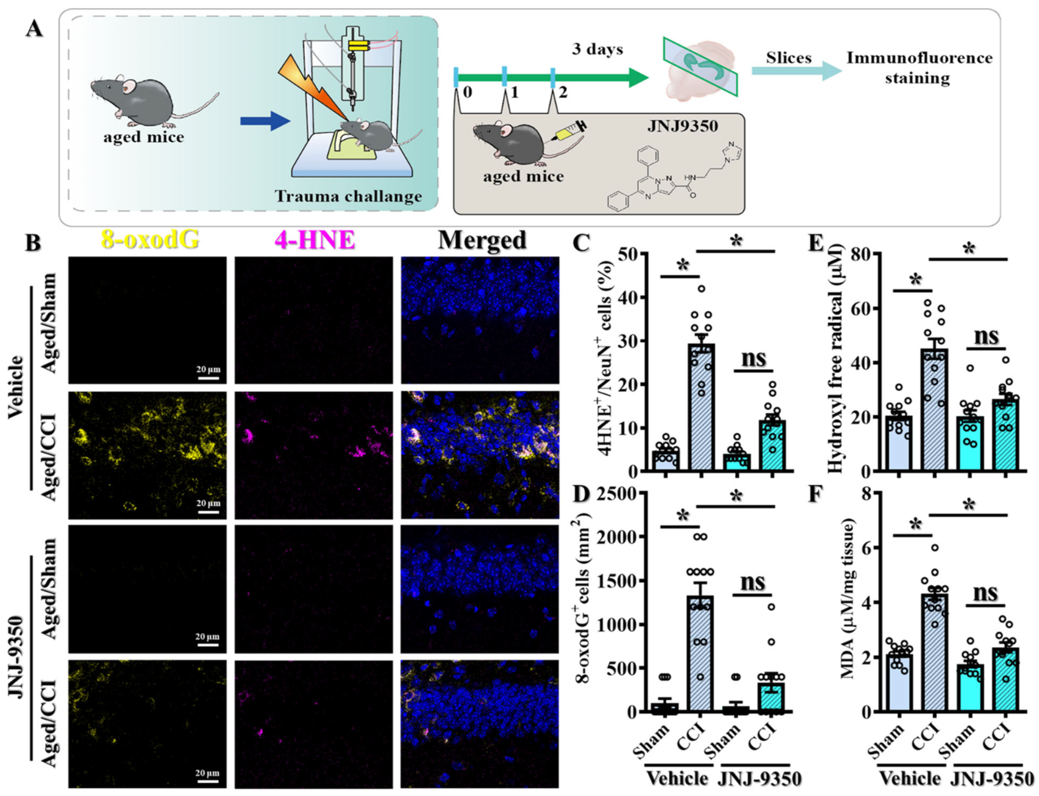 Antioxidants 14 00709 g004