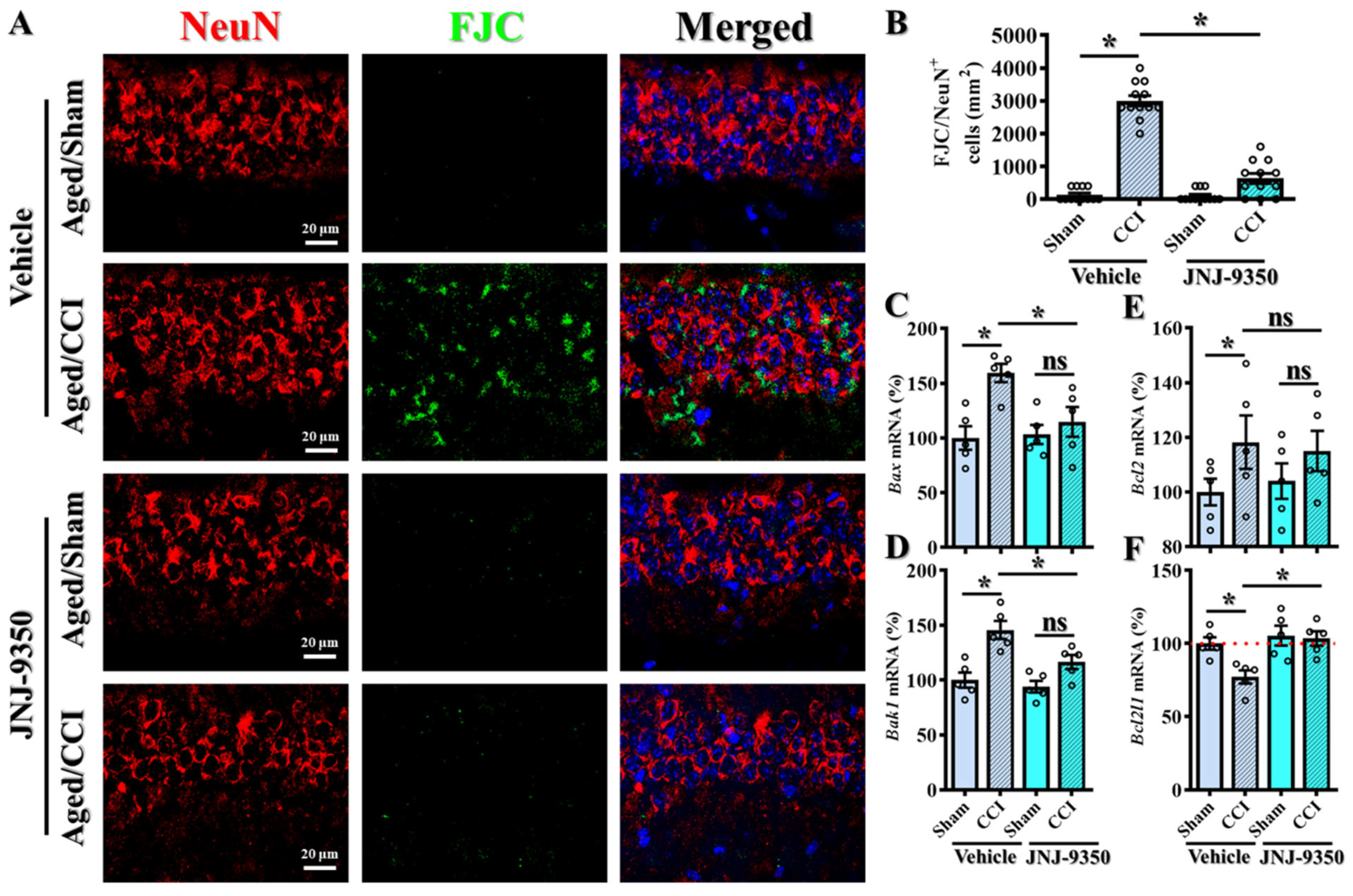 Antioxidants 14 00709 g008