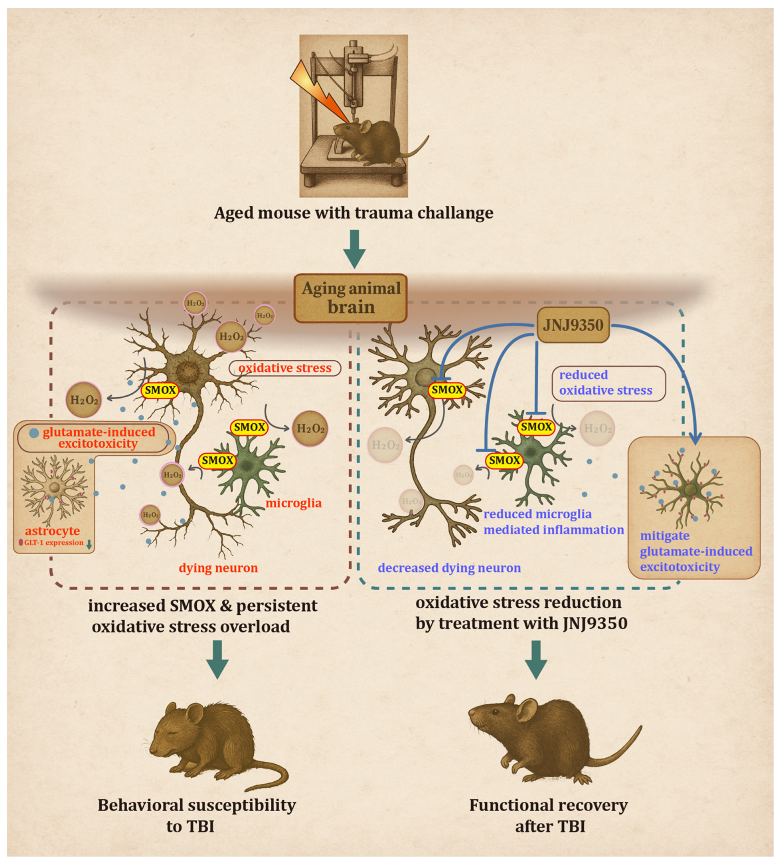 Antioxidants 14 00709 g011