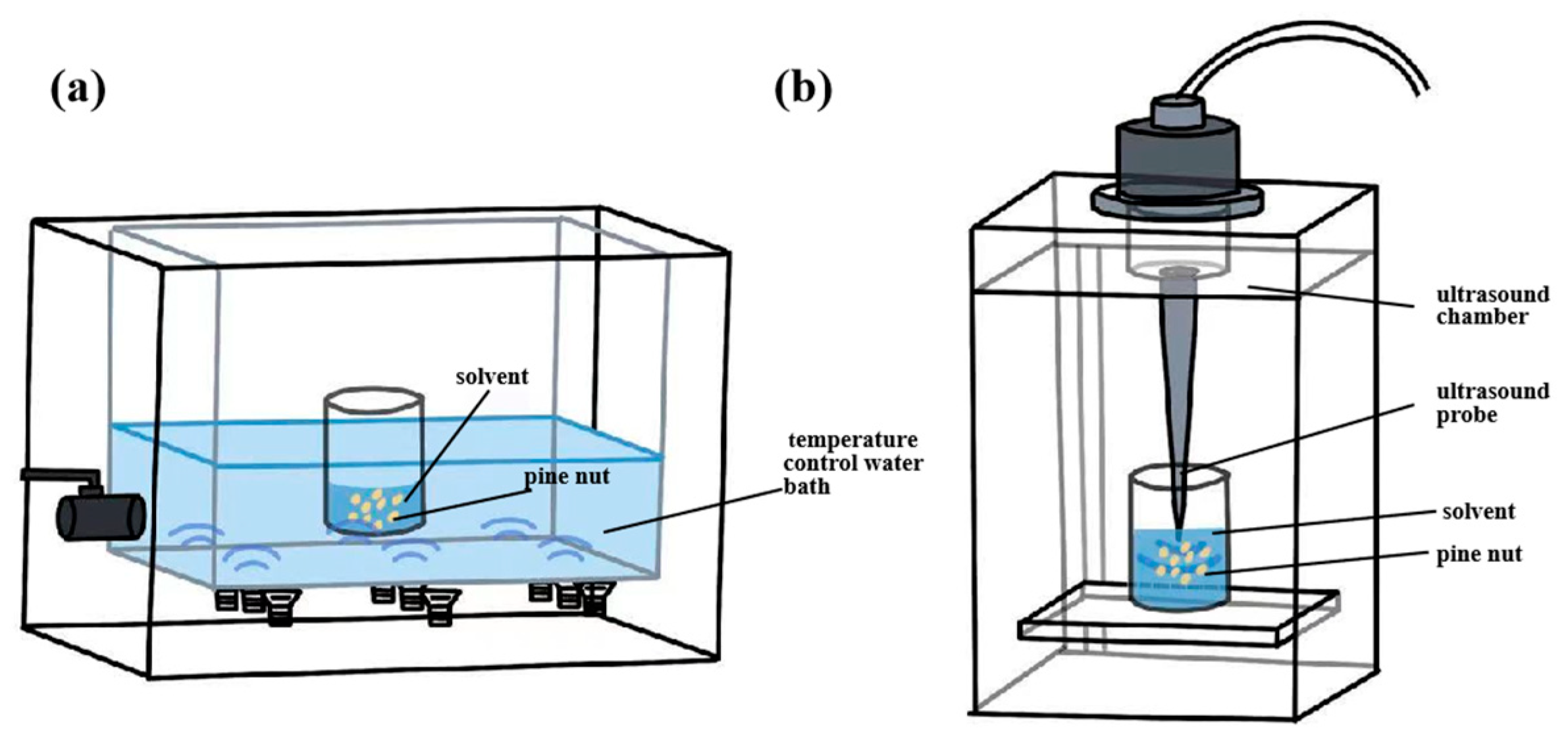 Antioxidants 14 00716 g004