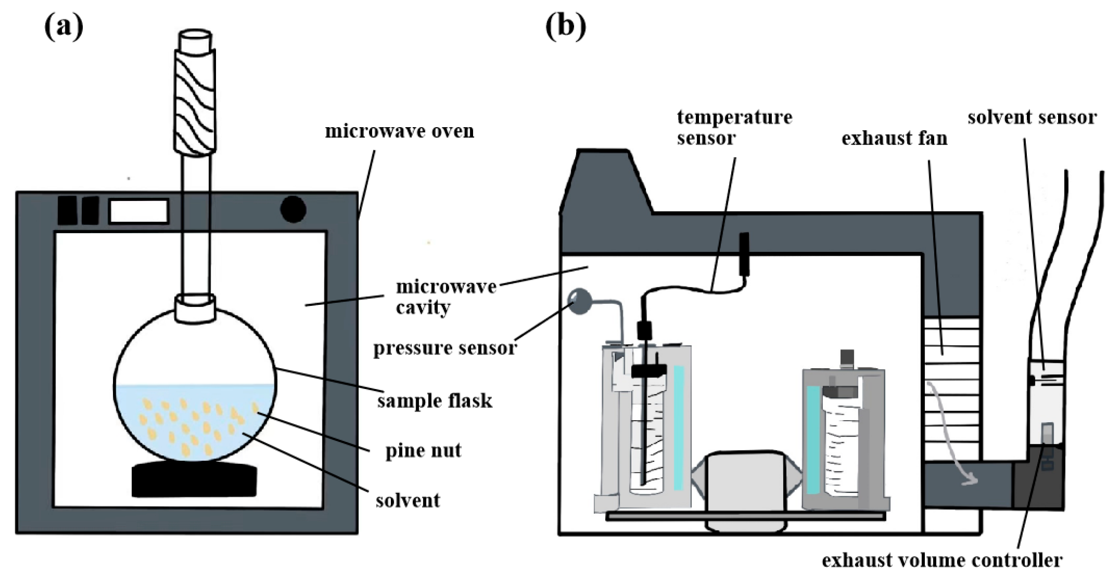Antioxidants 14 00716 g005