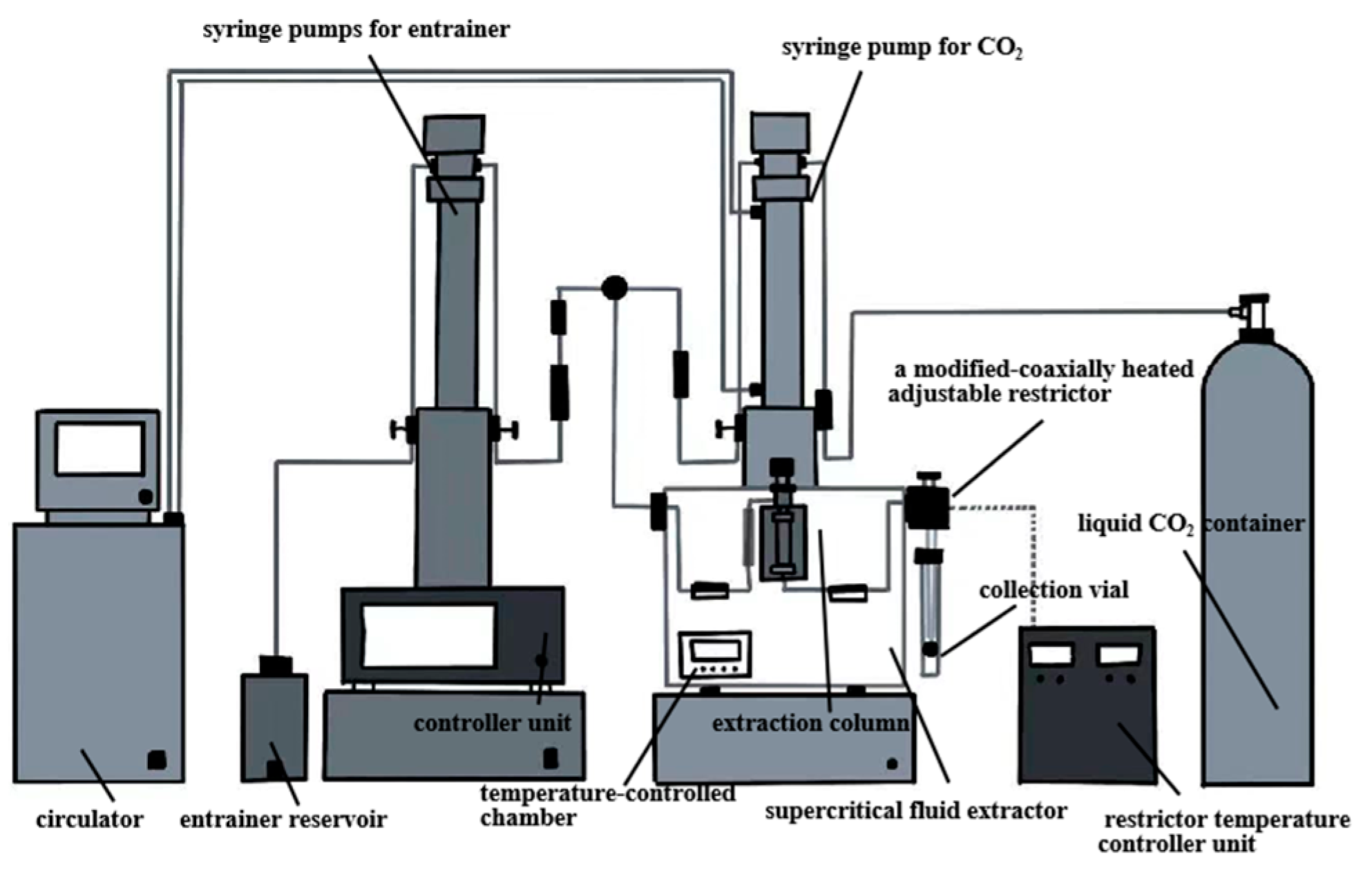 Antioxidants 14 00716 g006