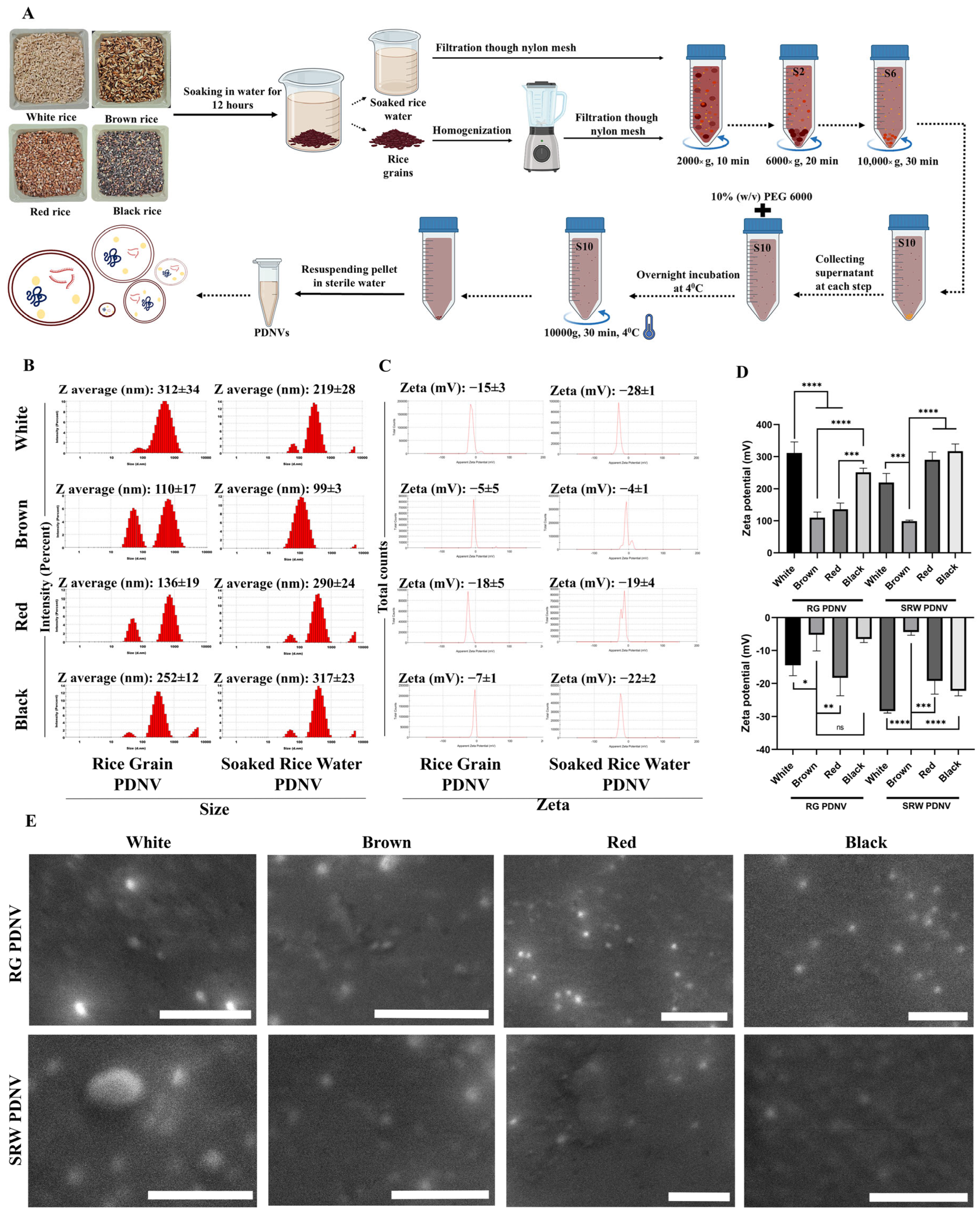 Antioxidants 14 00717 g001