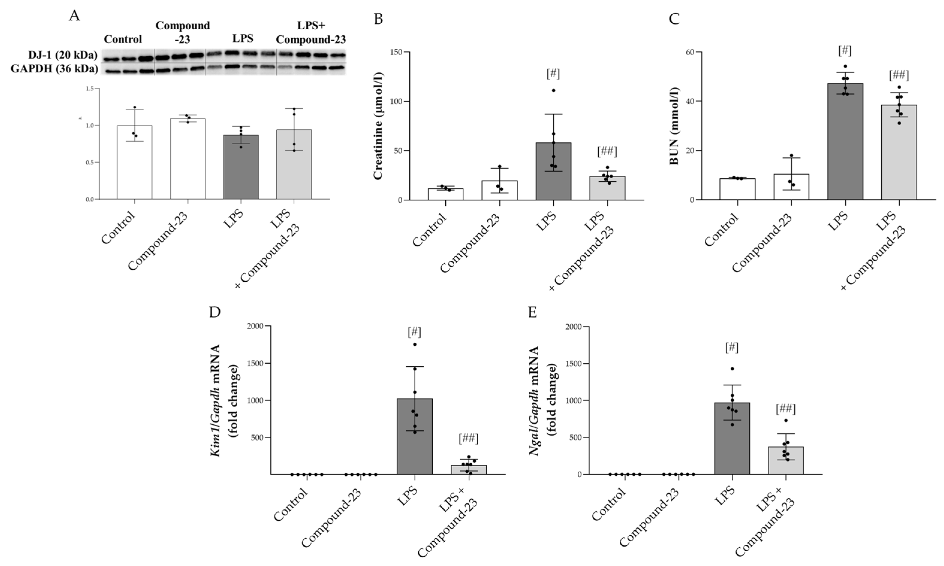 Antioxidants 14 00719 g004