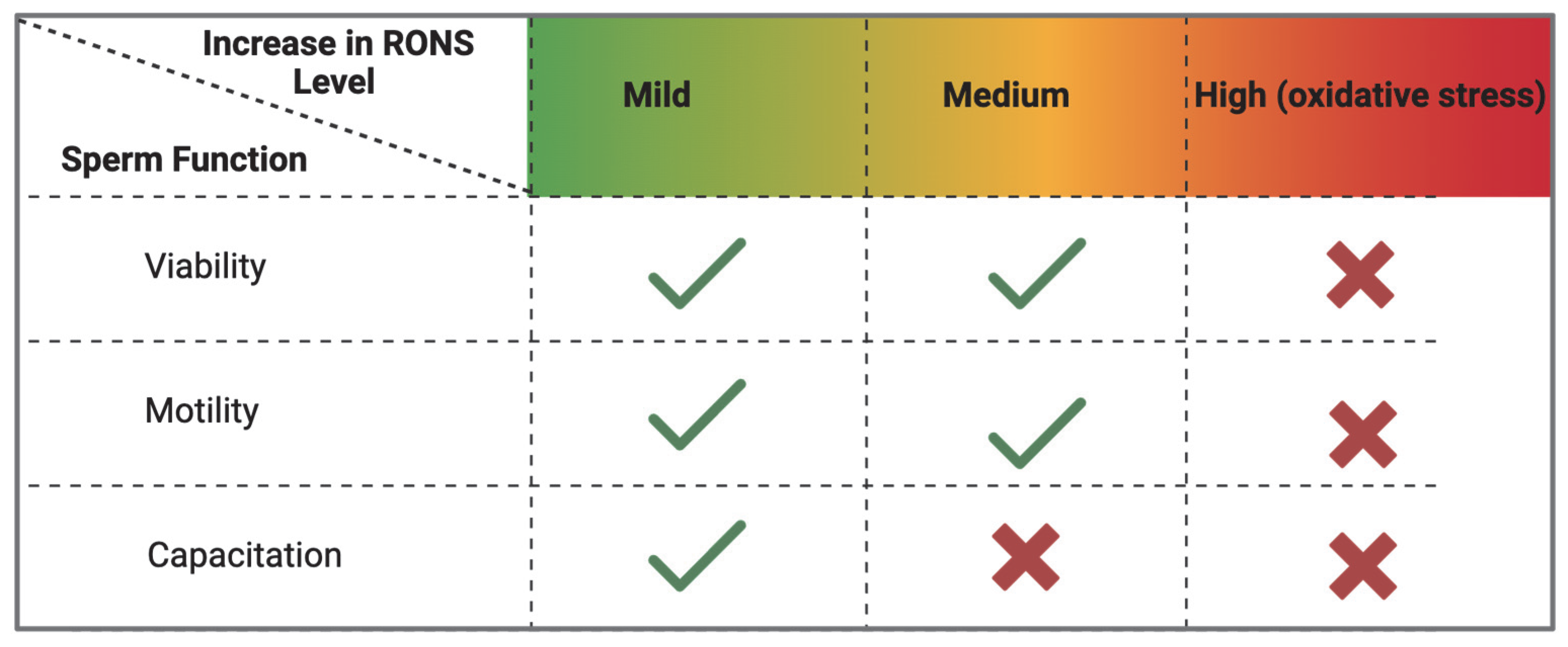 Antioxidants 14 00720 g004