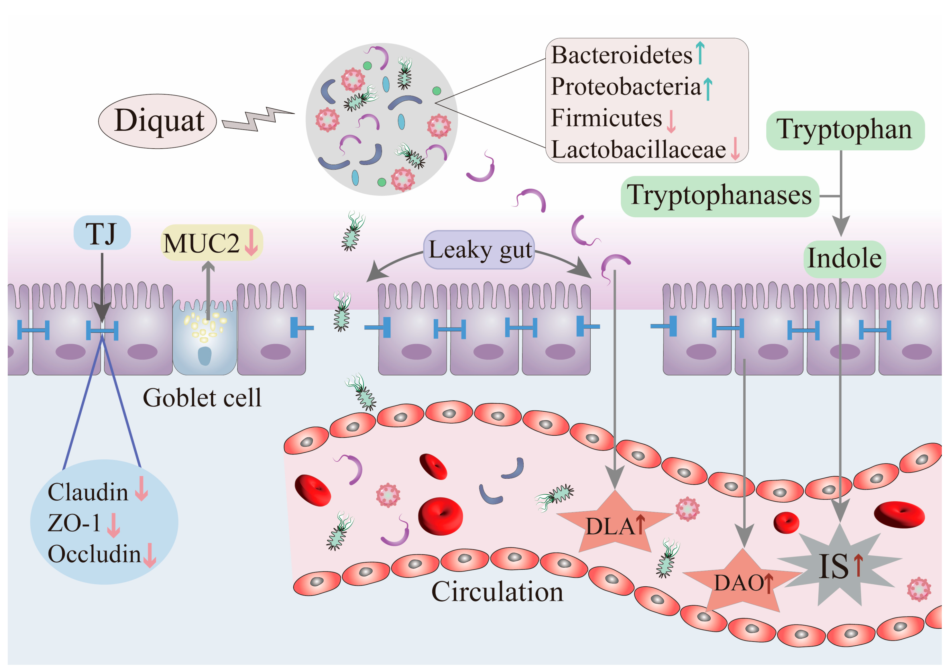 Antioxidants 14 00721 g002