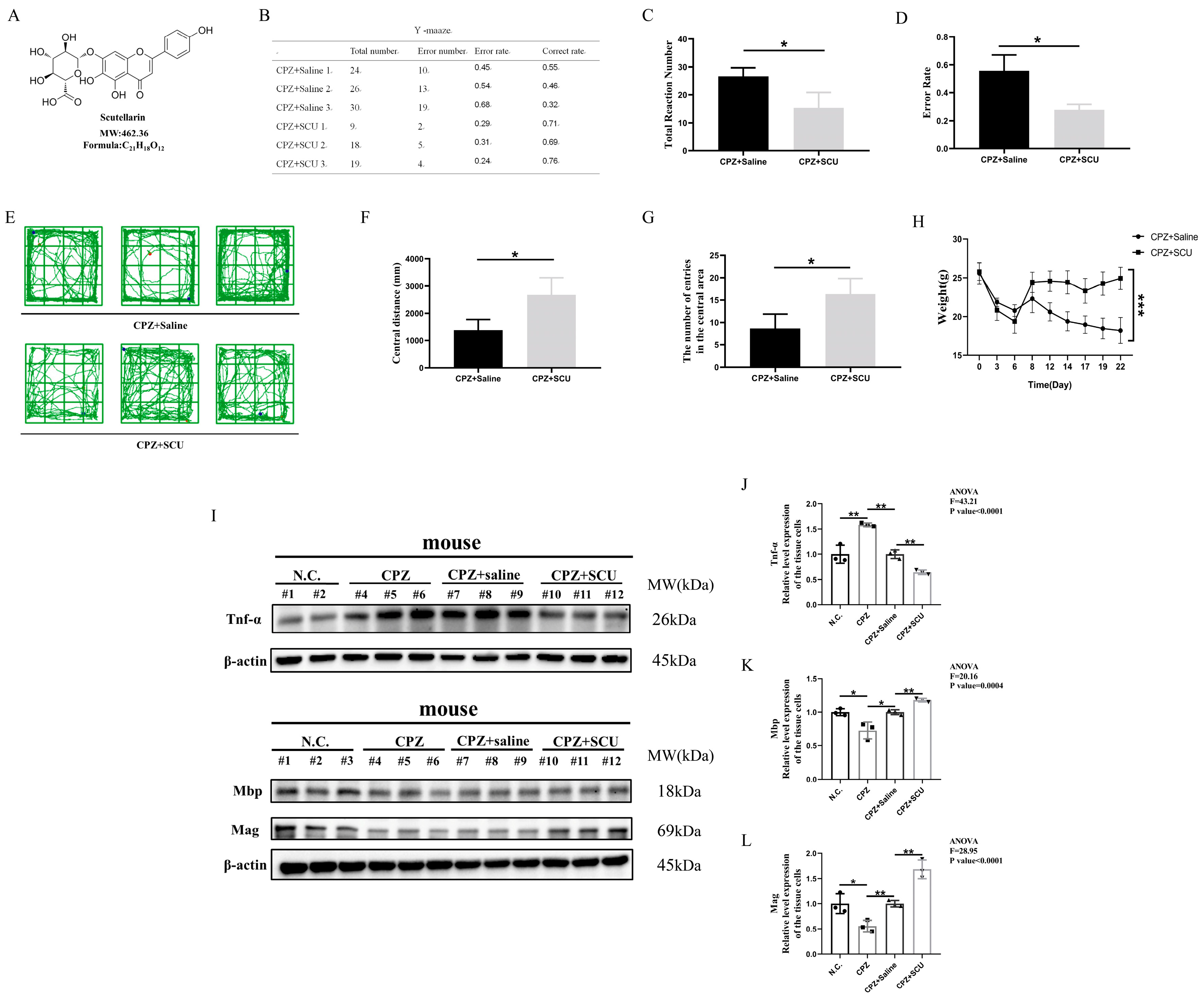 Antioxidants 14 00723 g002