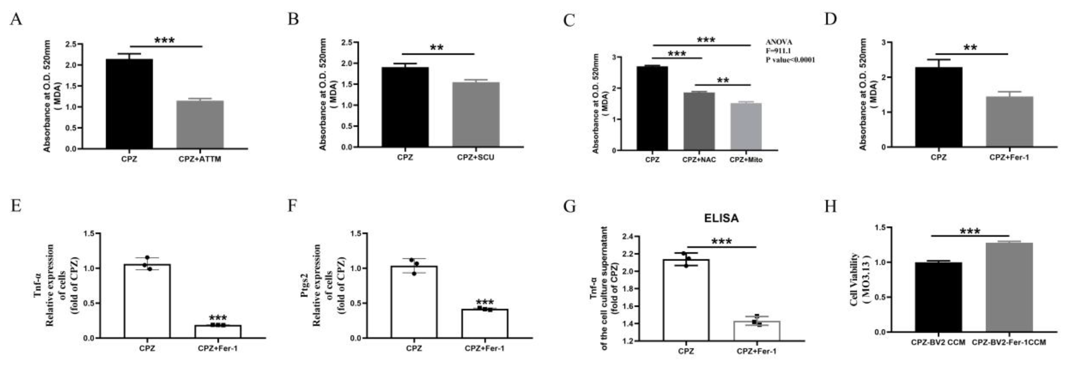 Antioxidants 14 00723 g007
