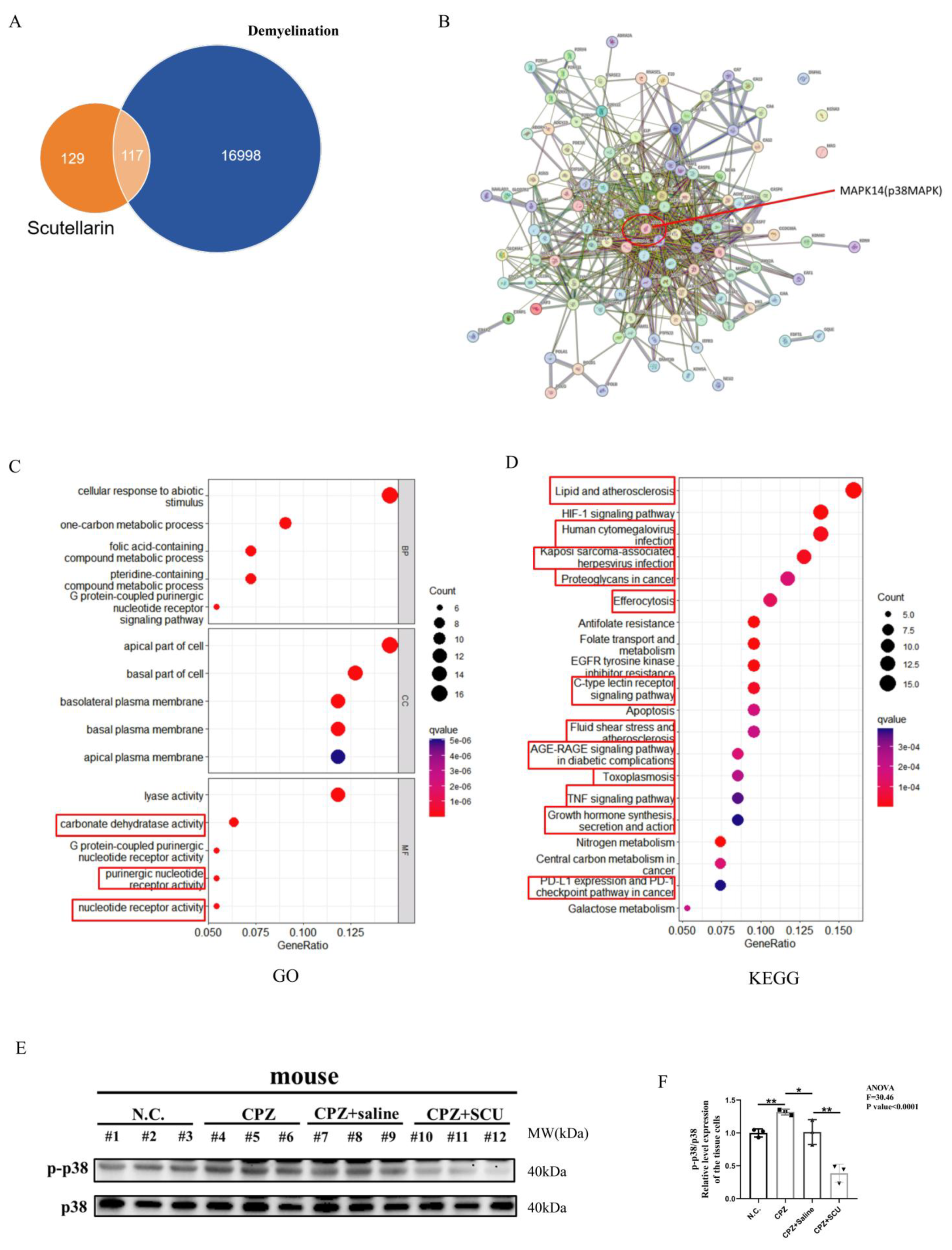Antioxidants 14 00723 g008