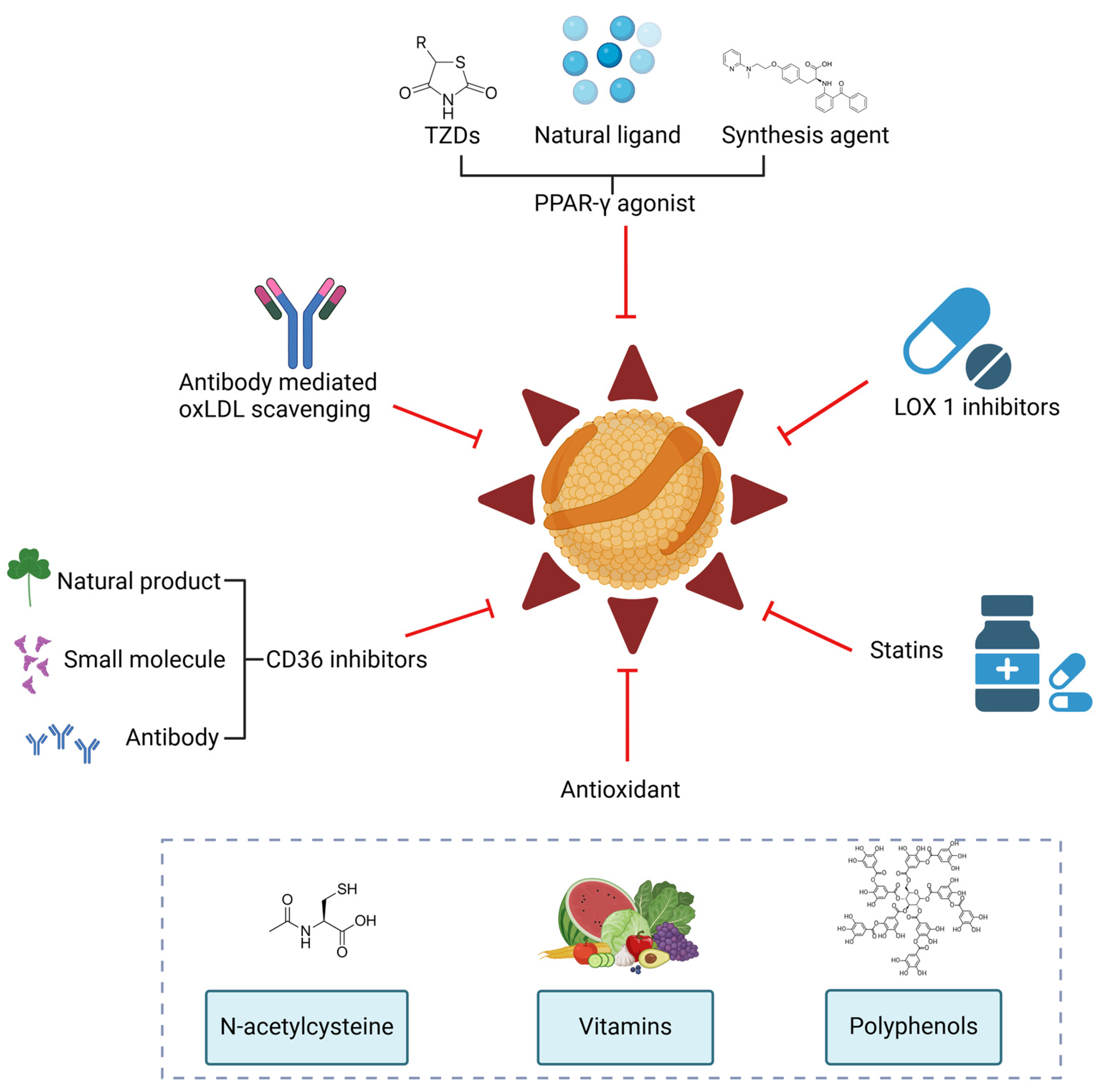 Antioxidants 14 00726 g006