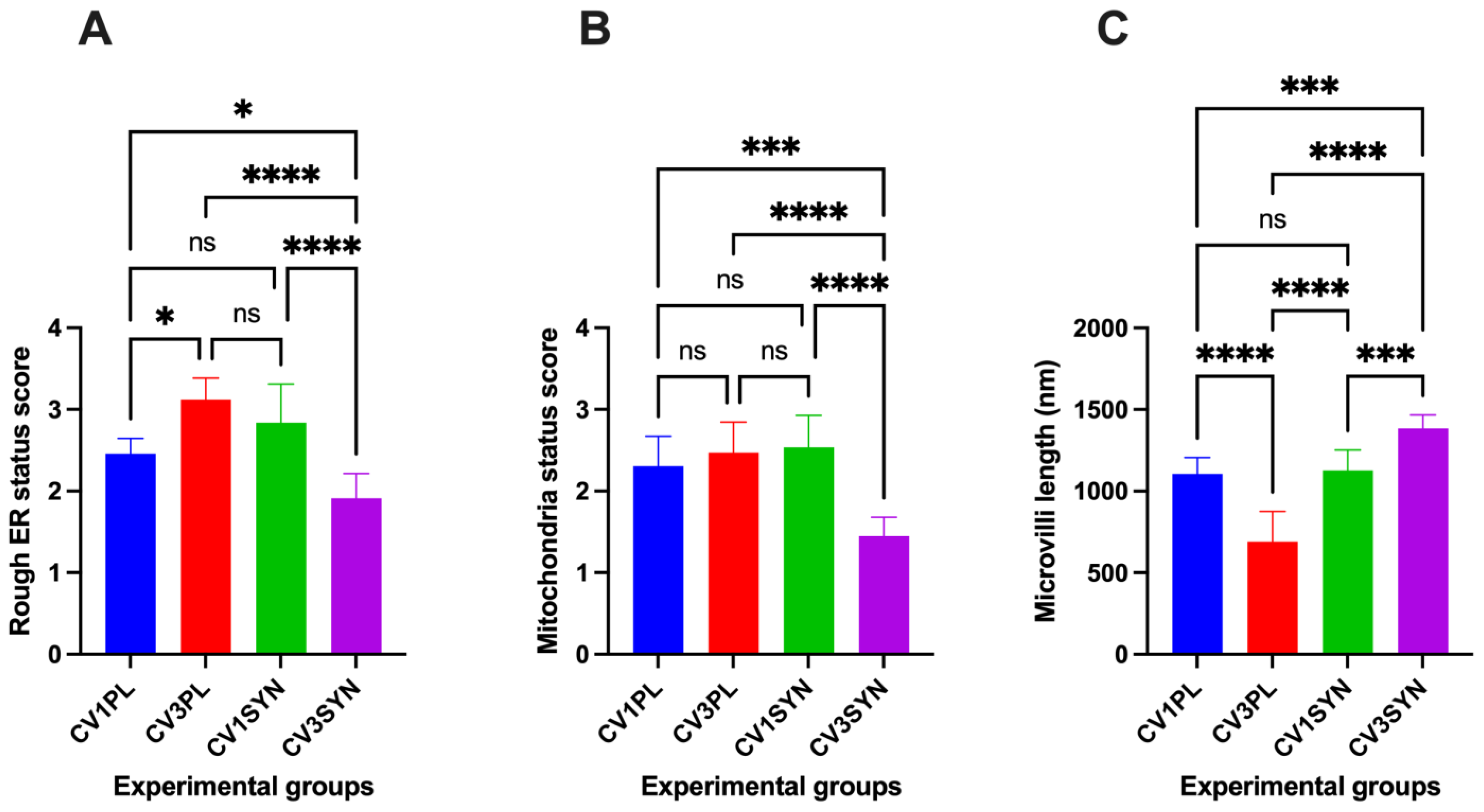 Antioxidants 14 00727 g004