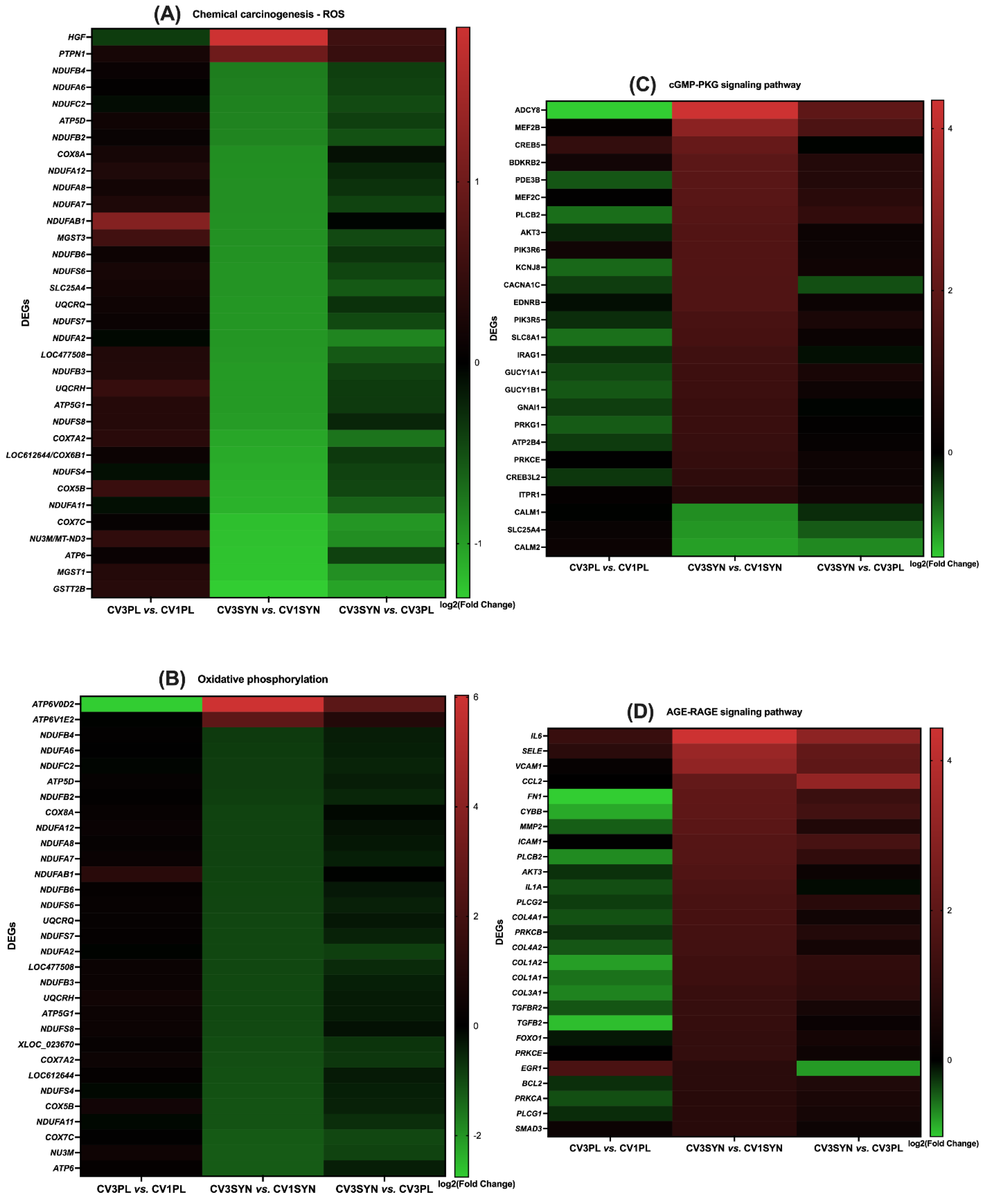 Antioxidants 14 00727 g007