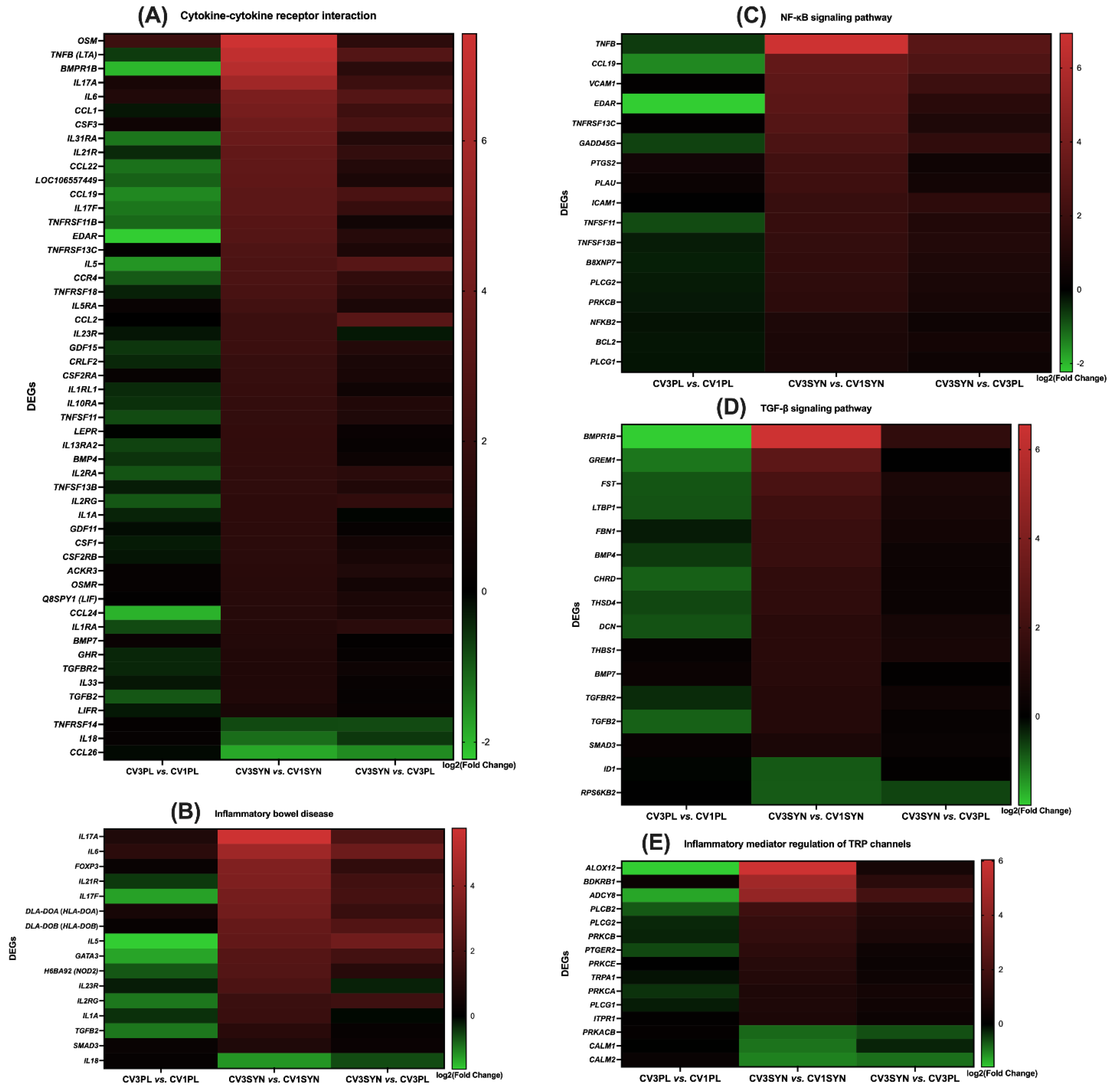 Antioxidants 14 00727 g009