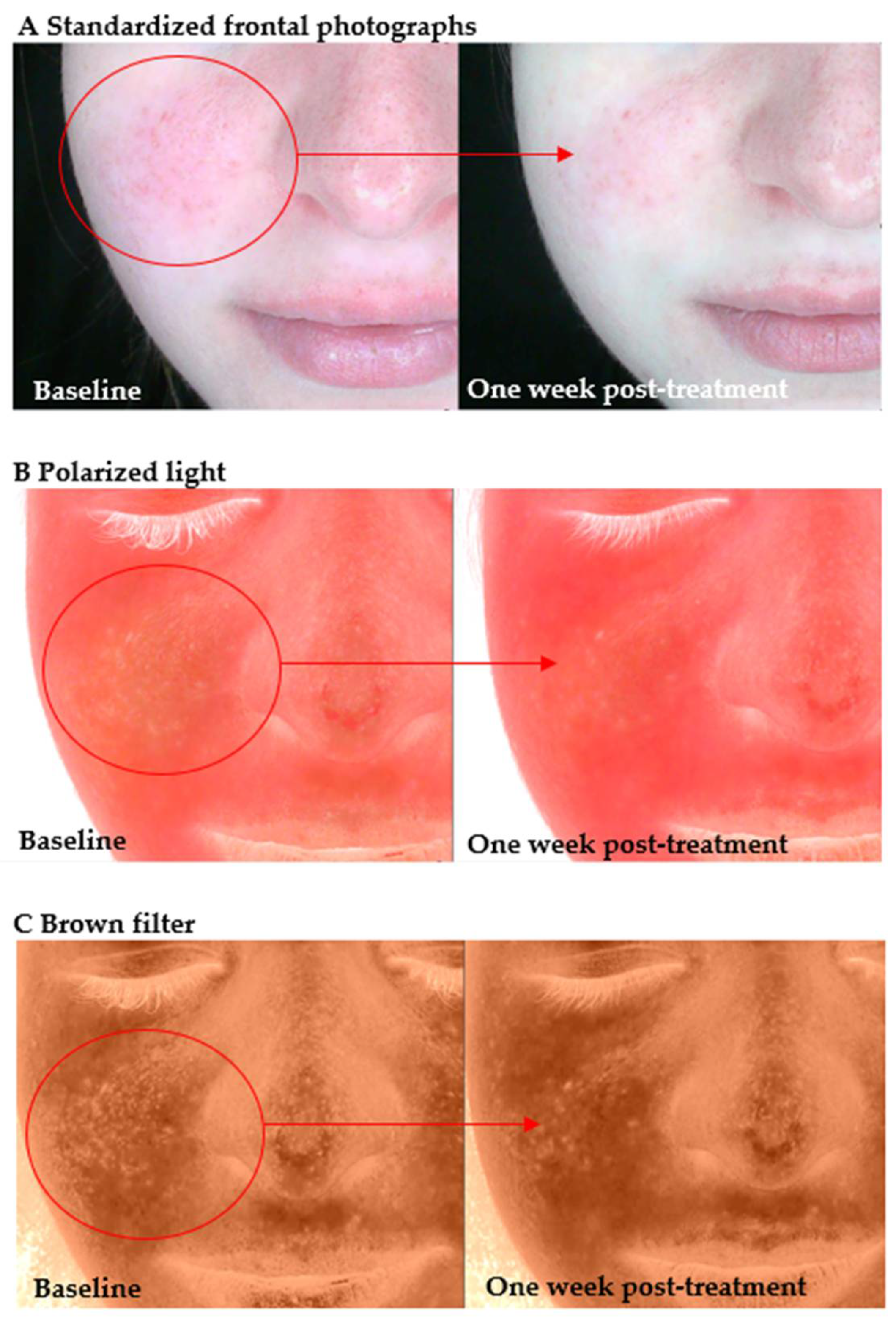 Antioxidants 14 00729 g002