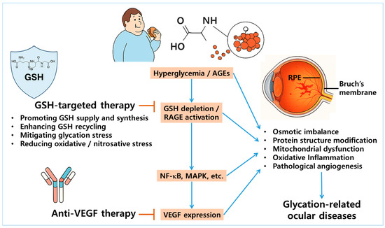 Restoring Glutathione Homeostasis in Glycation-Related Eye