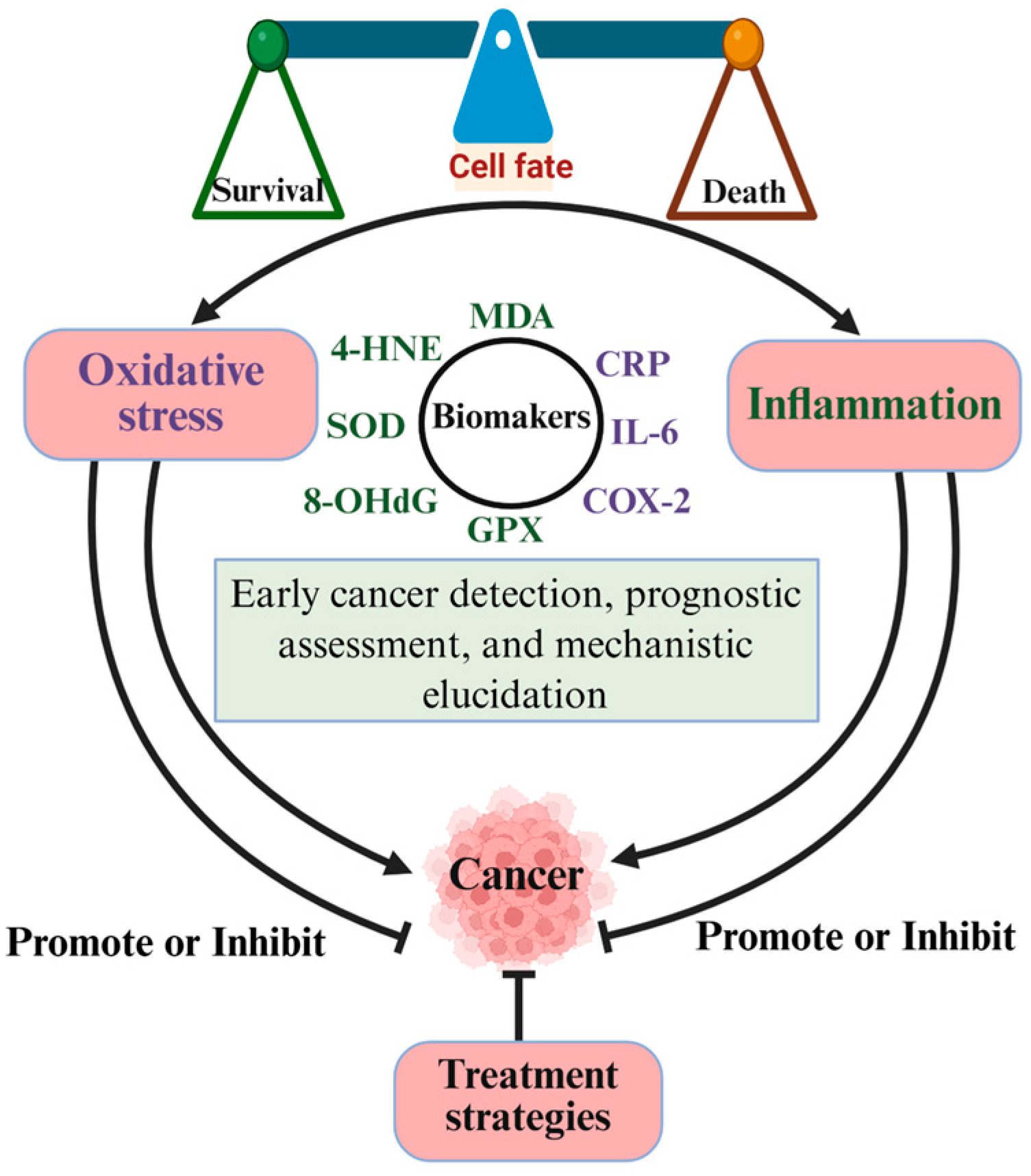 Oxidative Stress and Inflammation: Drivers of Tumorigenesis