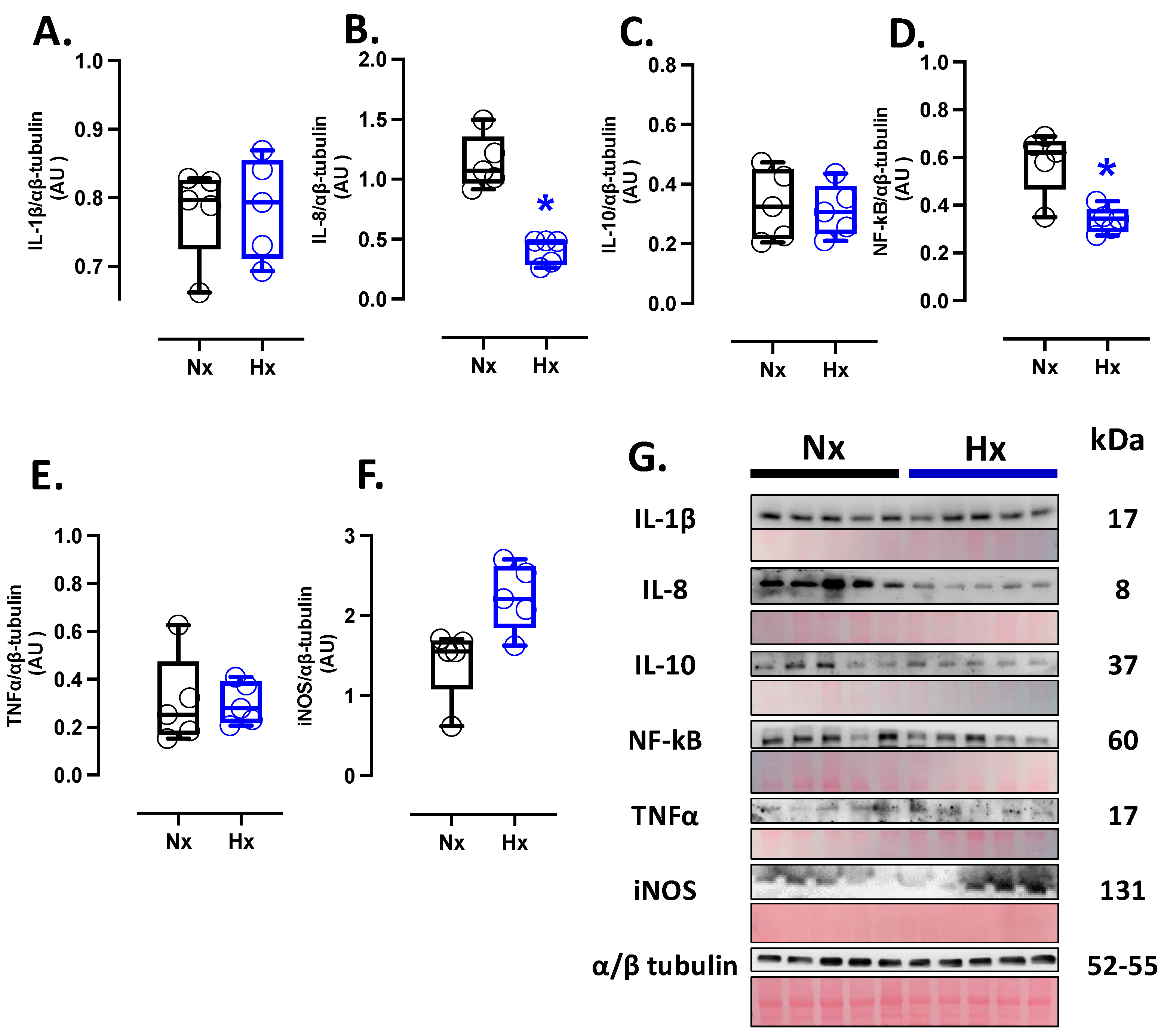 Antioxidants 14 00736 g004