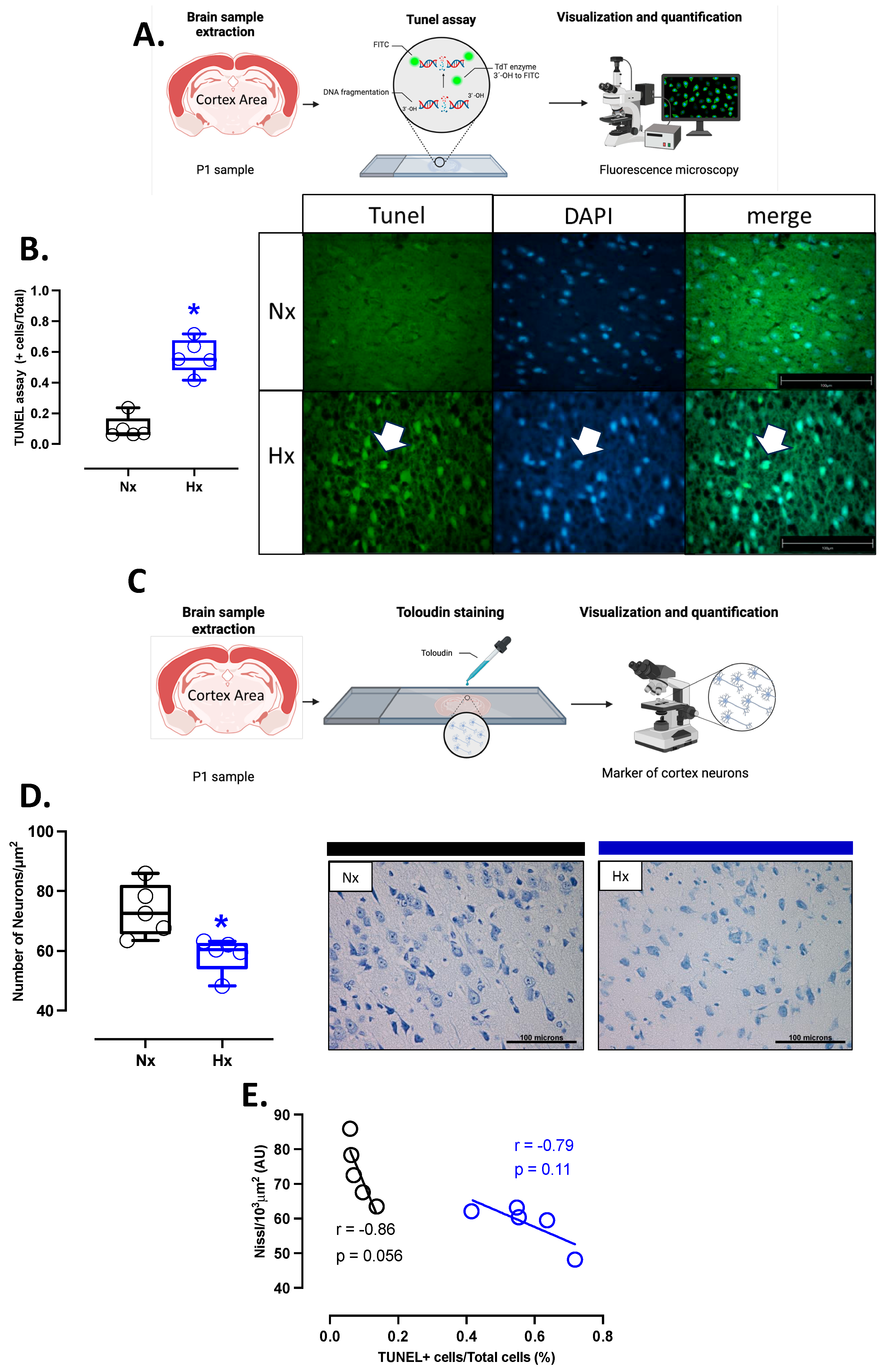Antioxidants 14 00736 g006