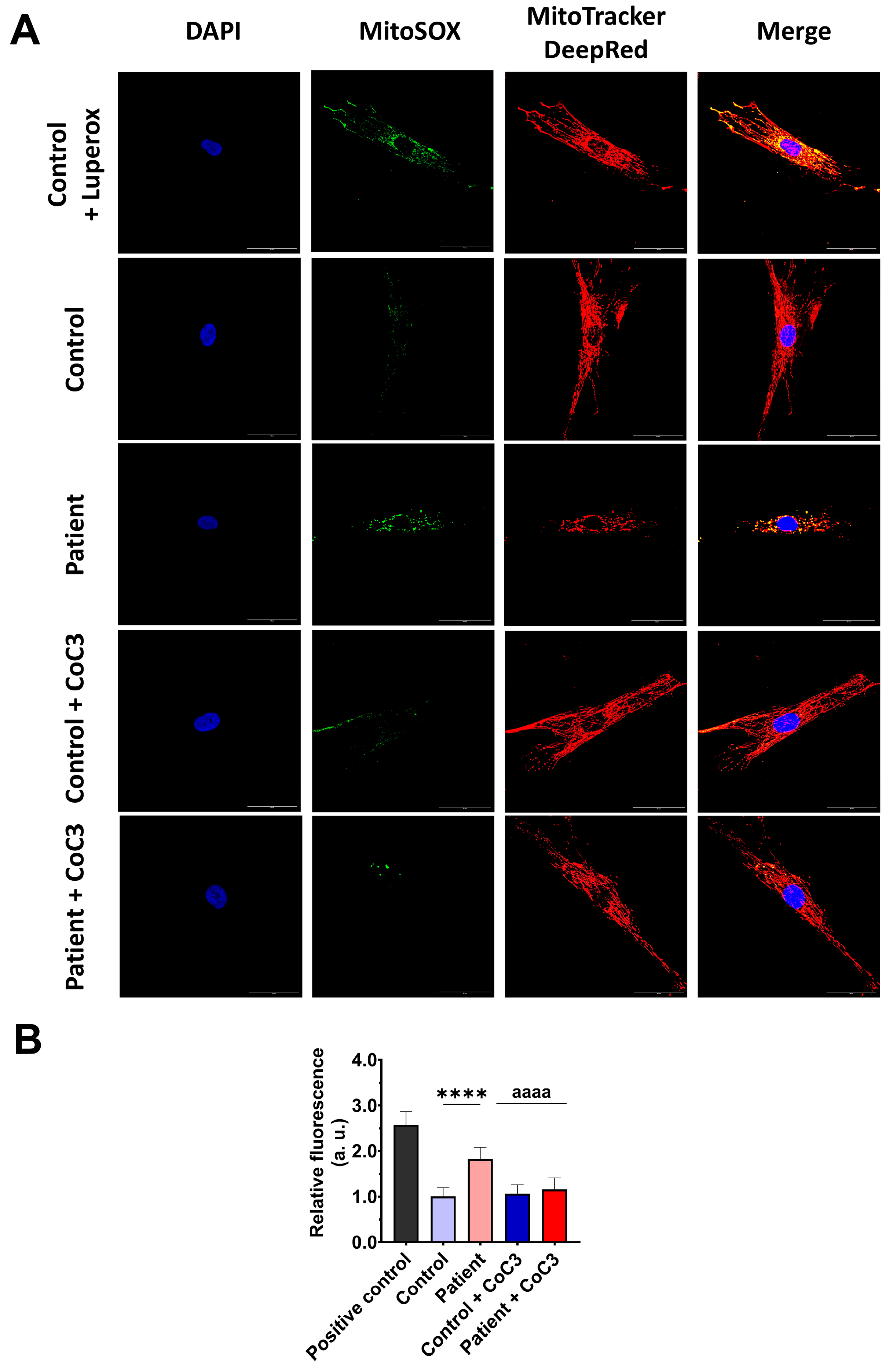 Antioxidants 14 00741 g011