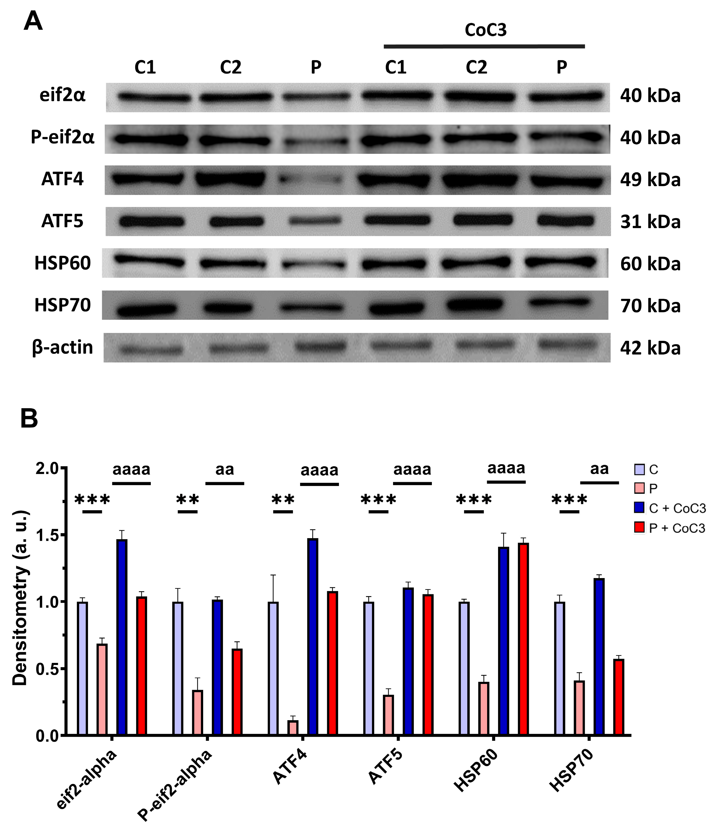 Antioxidants 14 00741 g015