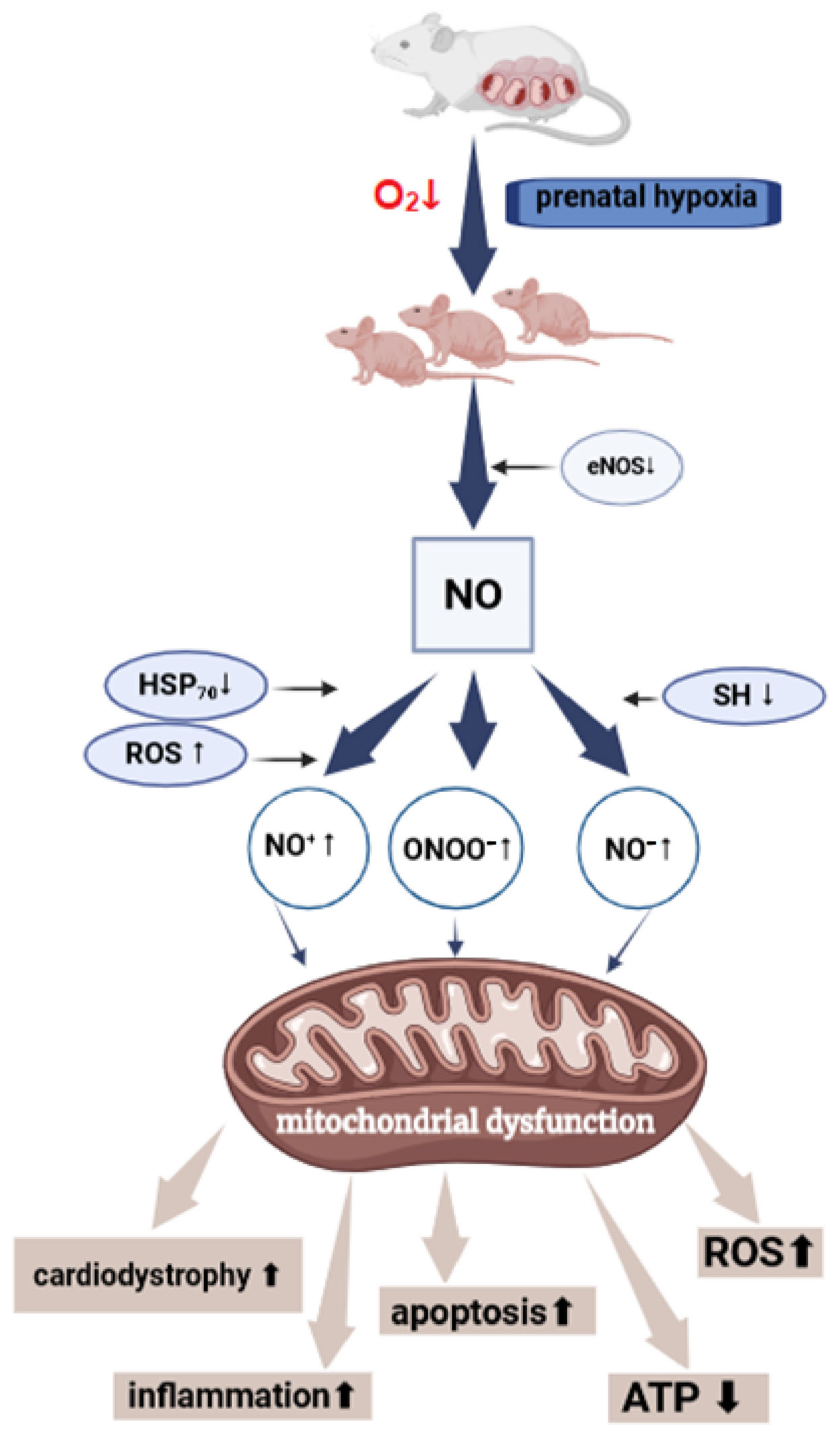 Antioxidants 14 00743 g002 Antioxidants 14 00743 g002