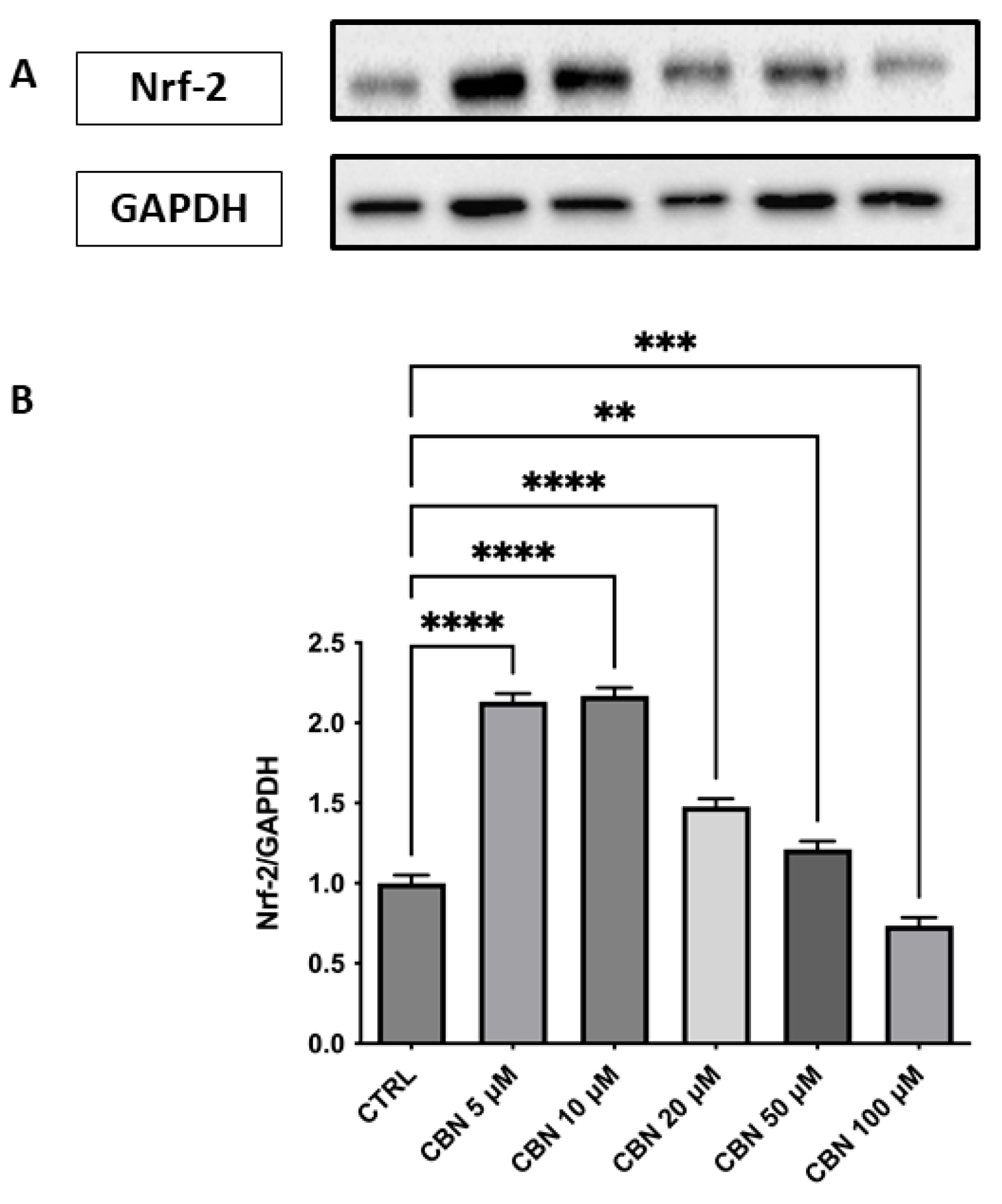 Antioxidants 14 00744 g008