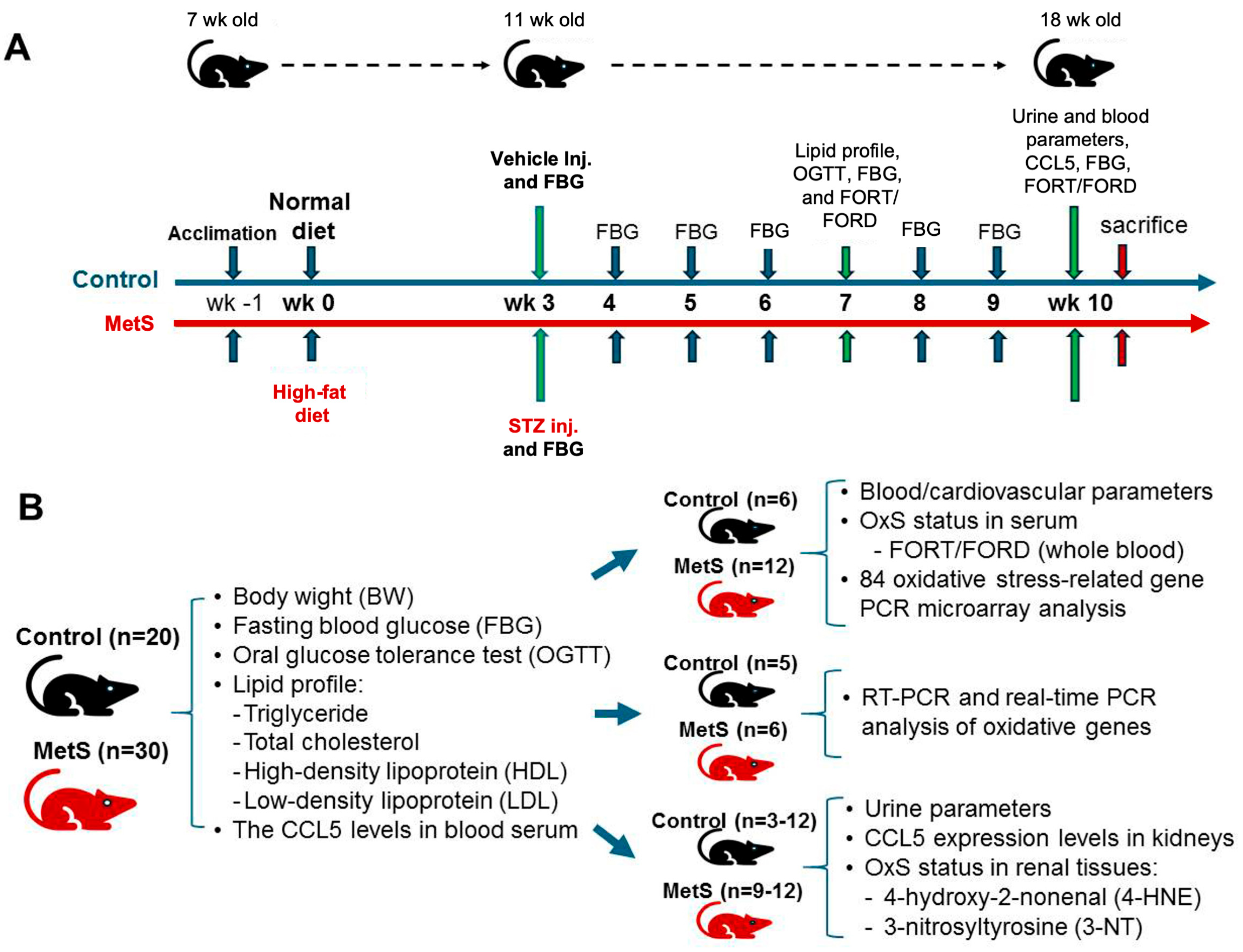 Antioxidants 14 00746 g001